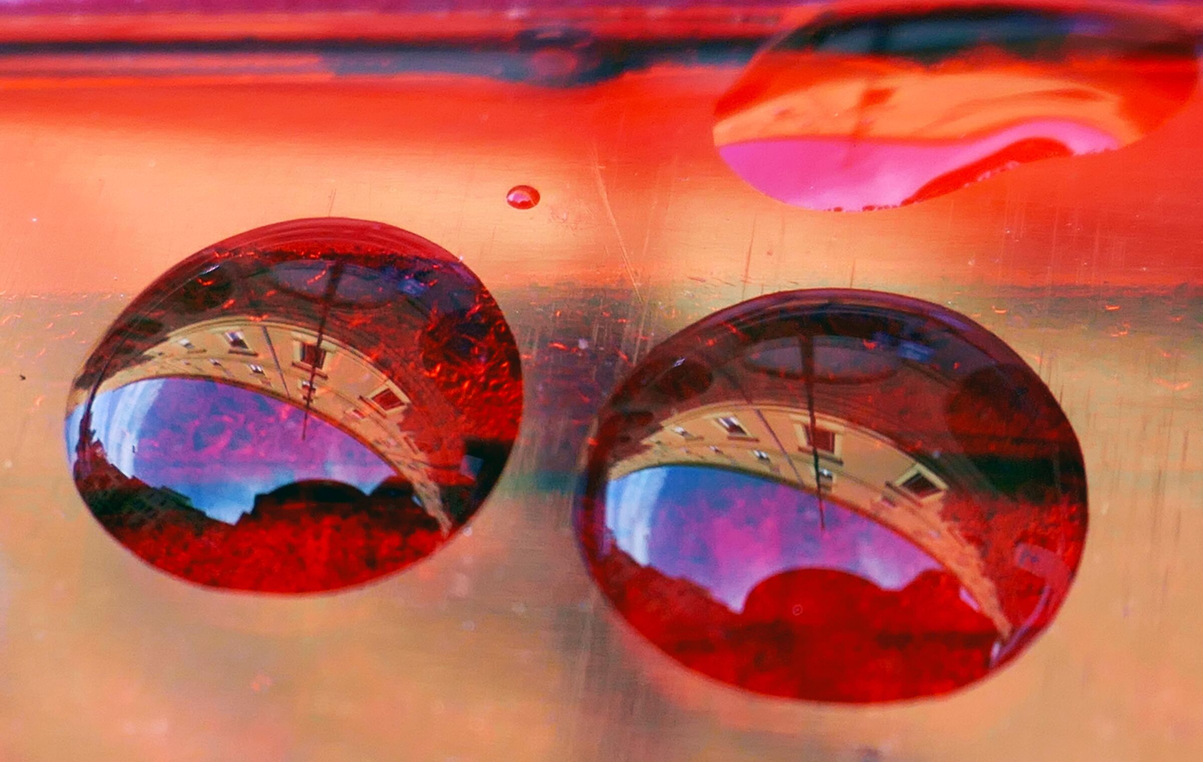 The eyes of the world