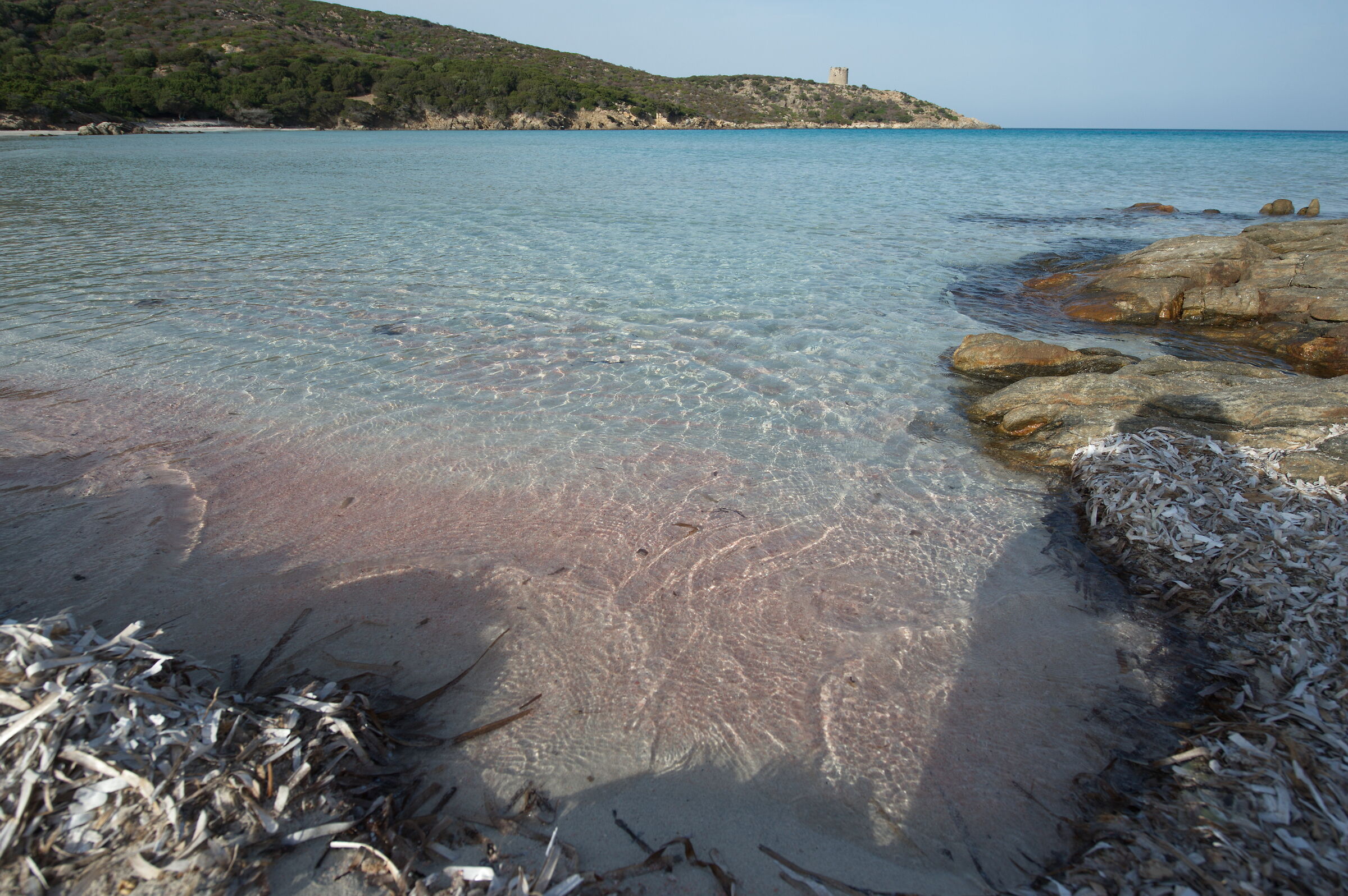 Asinara (Italy)