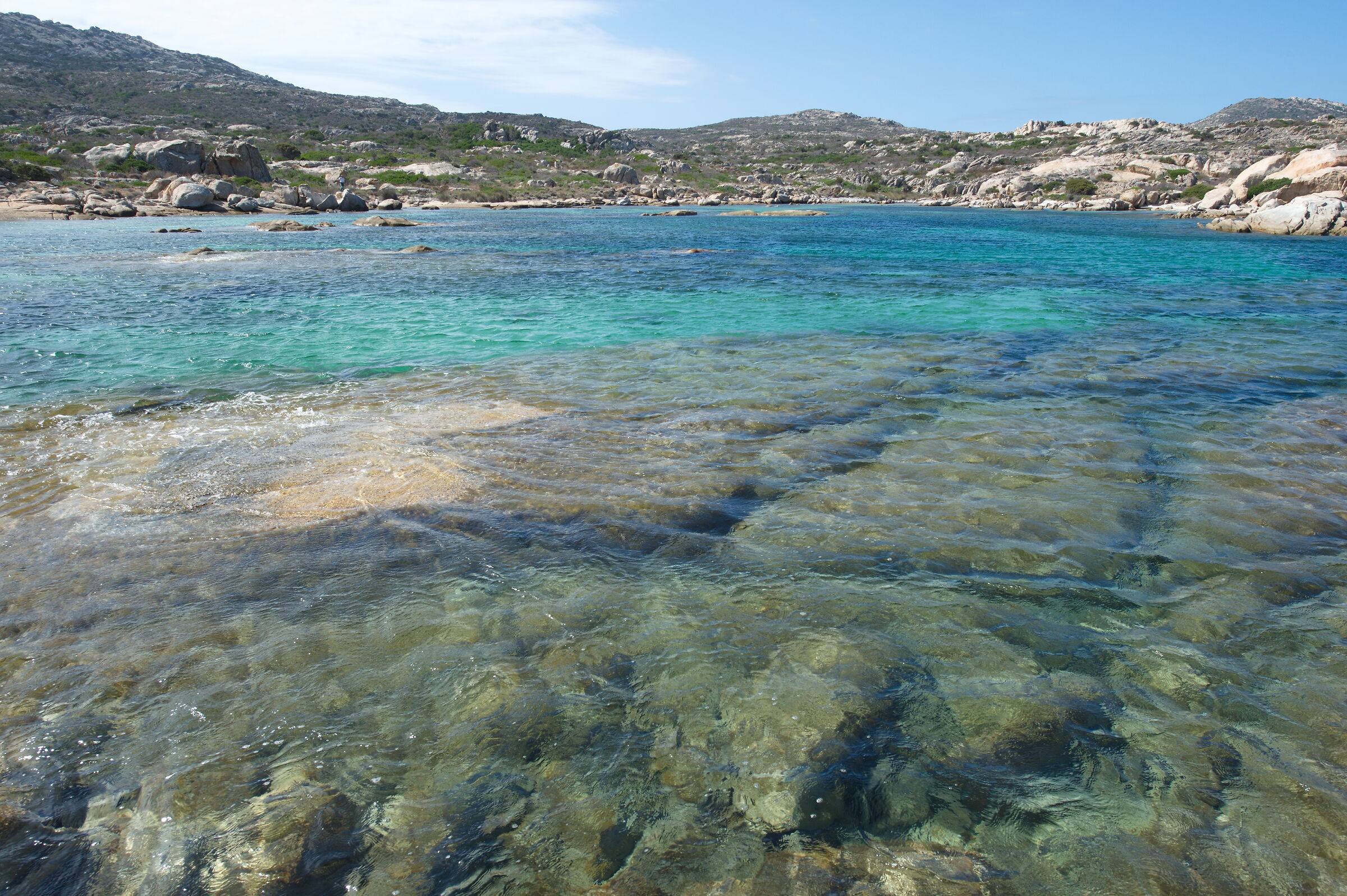 Asinara (Italy)