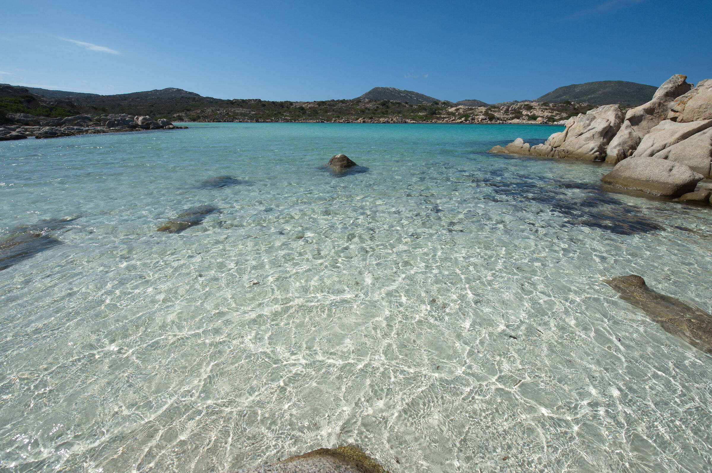 Asinara (Italy)
