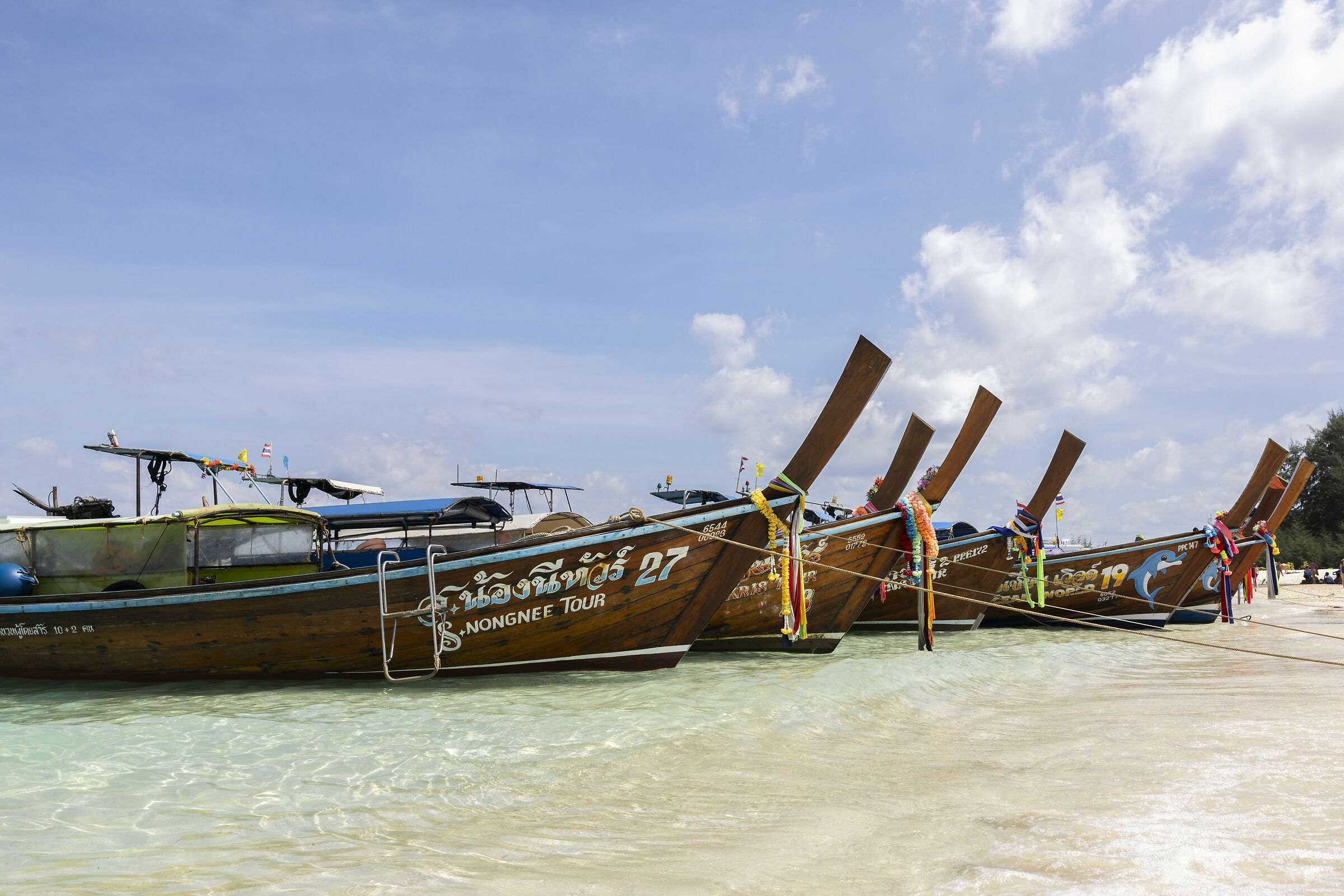 Log Tail Boat