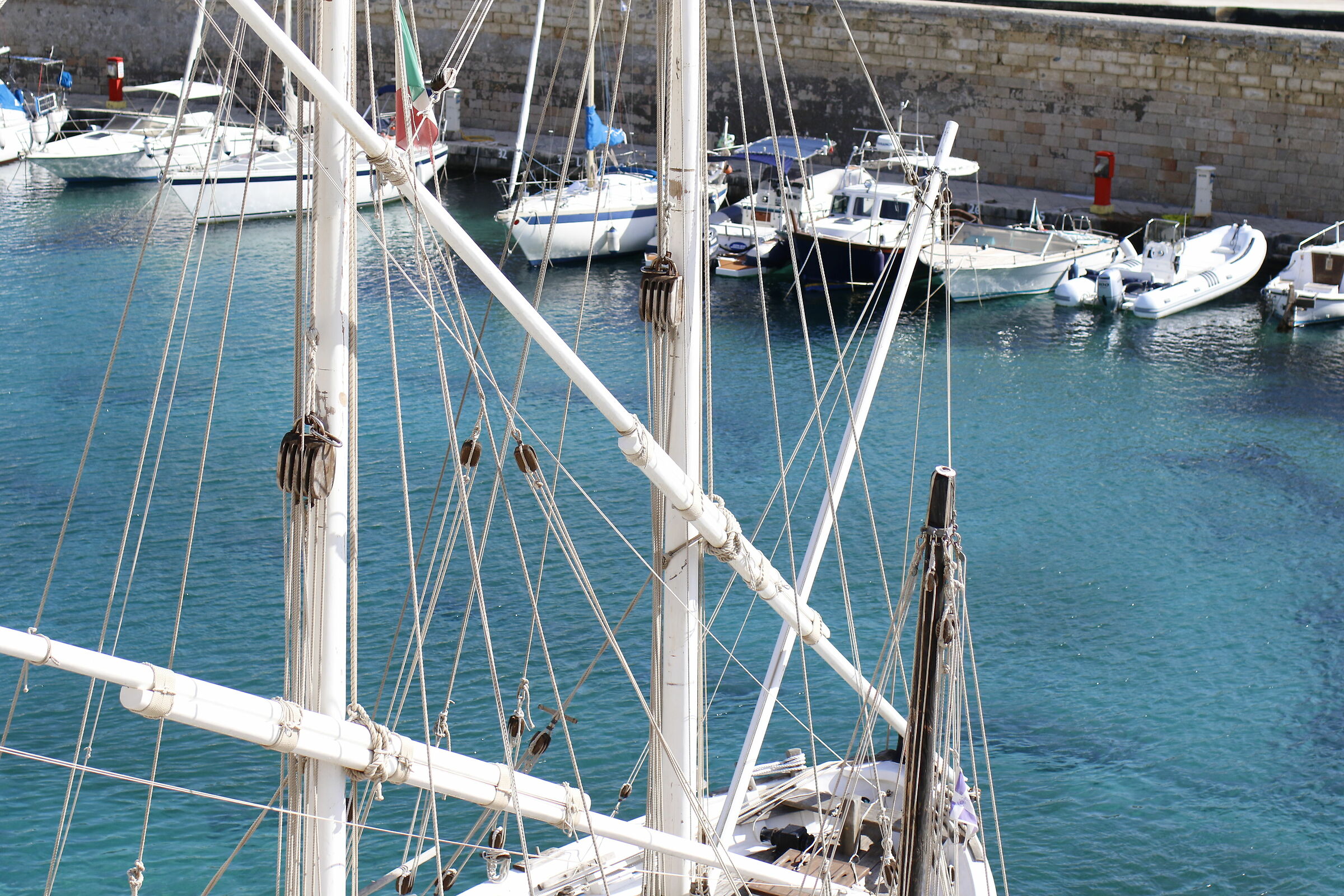 Crop 80, 1/ 8 Mila ", Milvus Z. 50, 1.4- Canon 7 D II