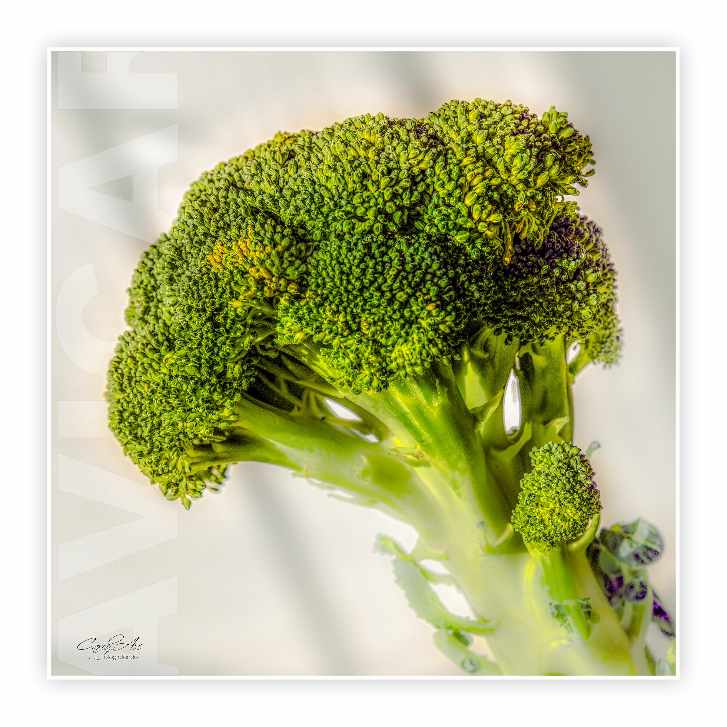 ...per ogni capo un fiore