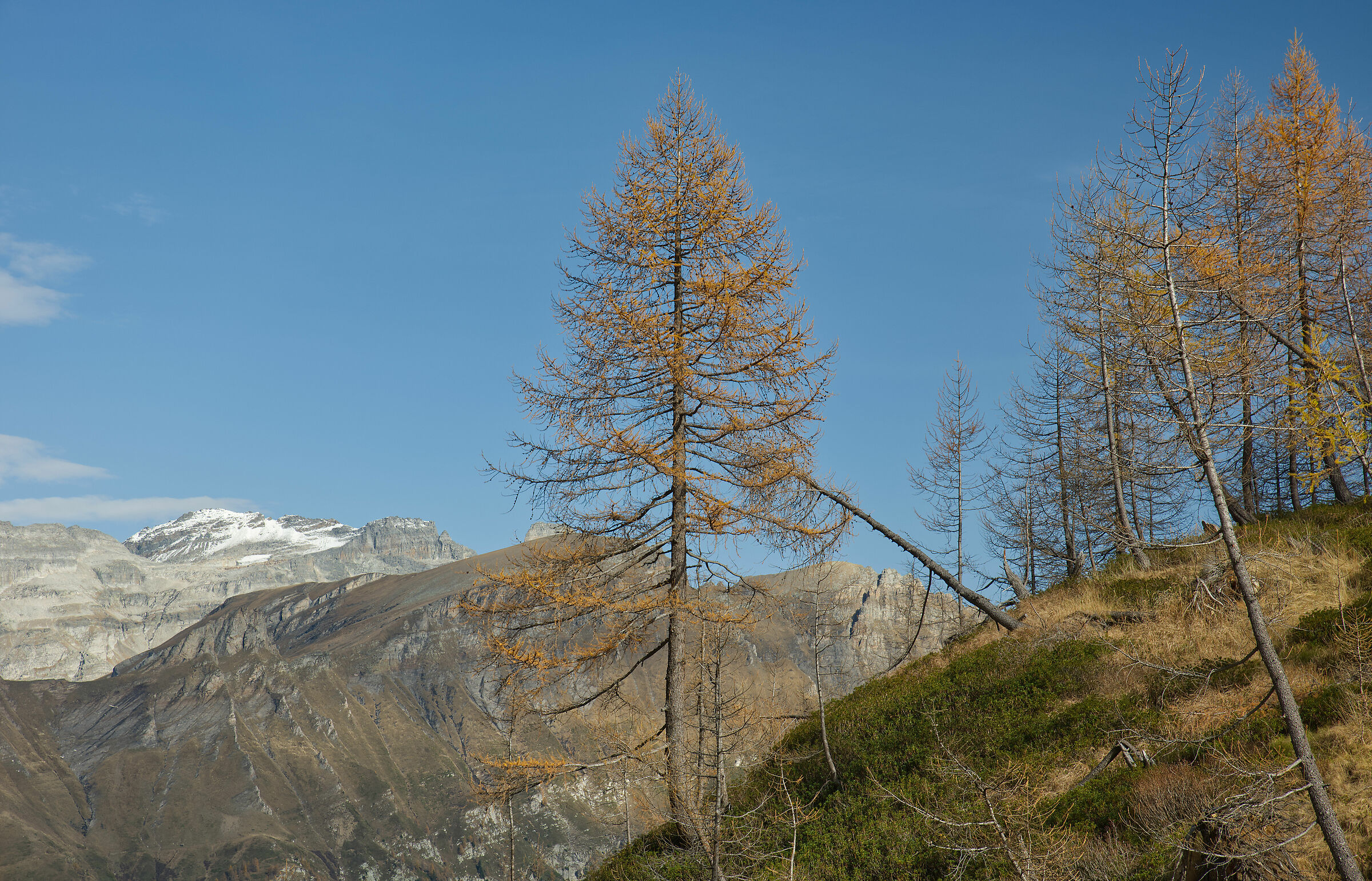 autumn in Valdivedro 2022