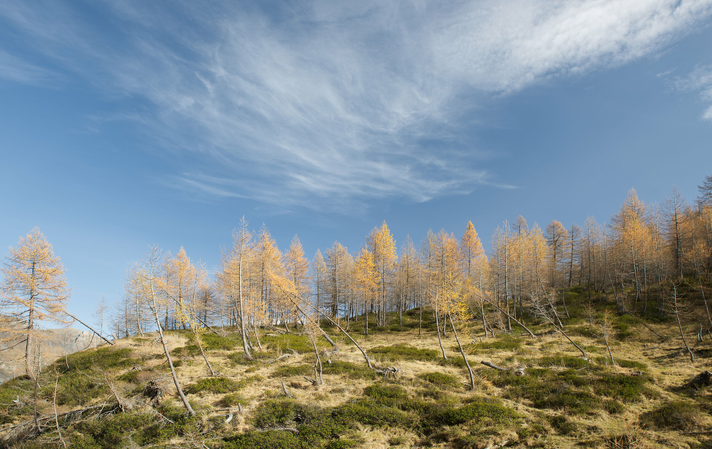 autumn in Valdivedro 2022