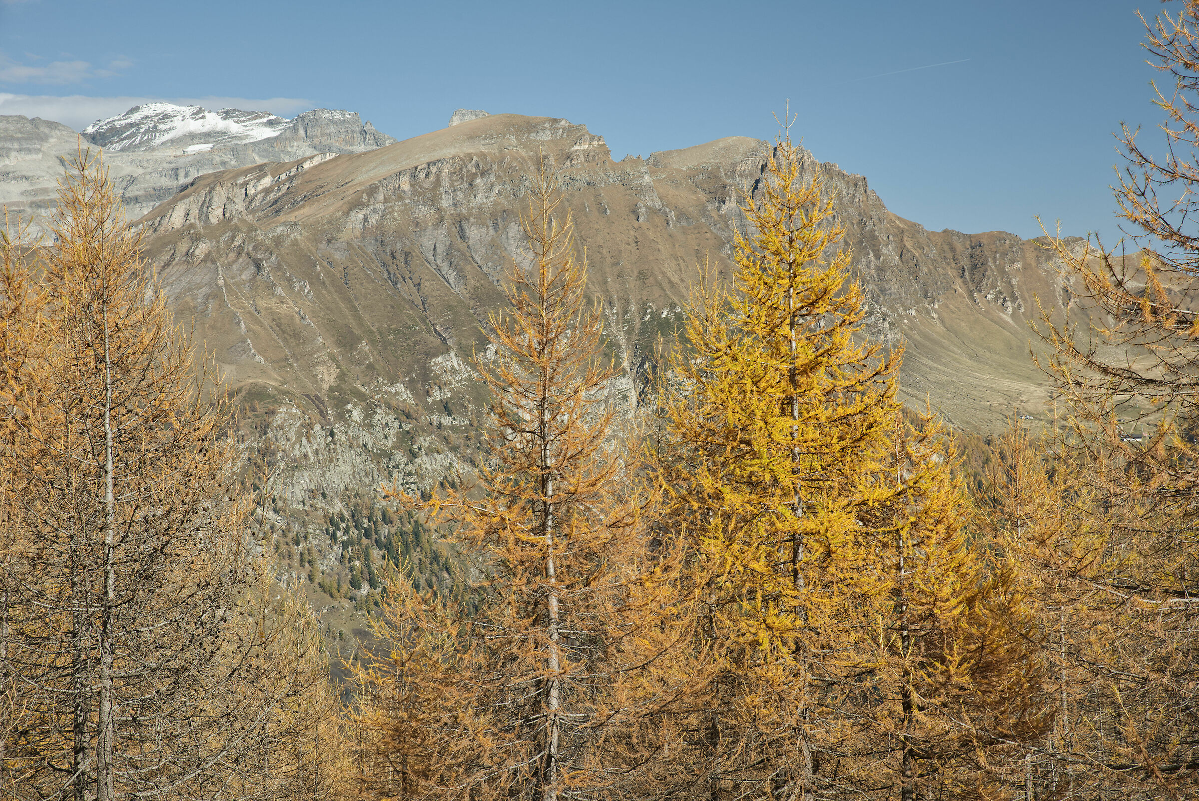 autumn in Valdivedro 2022