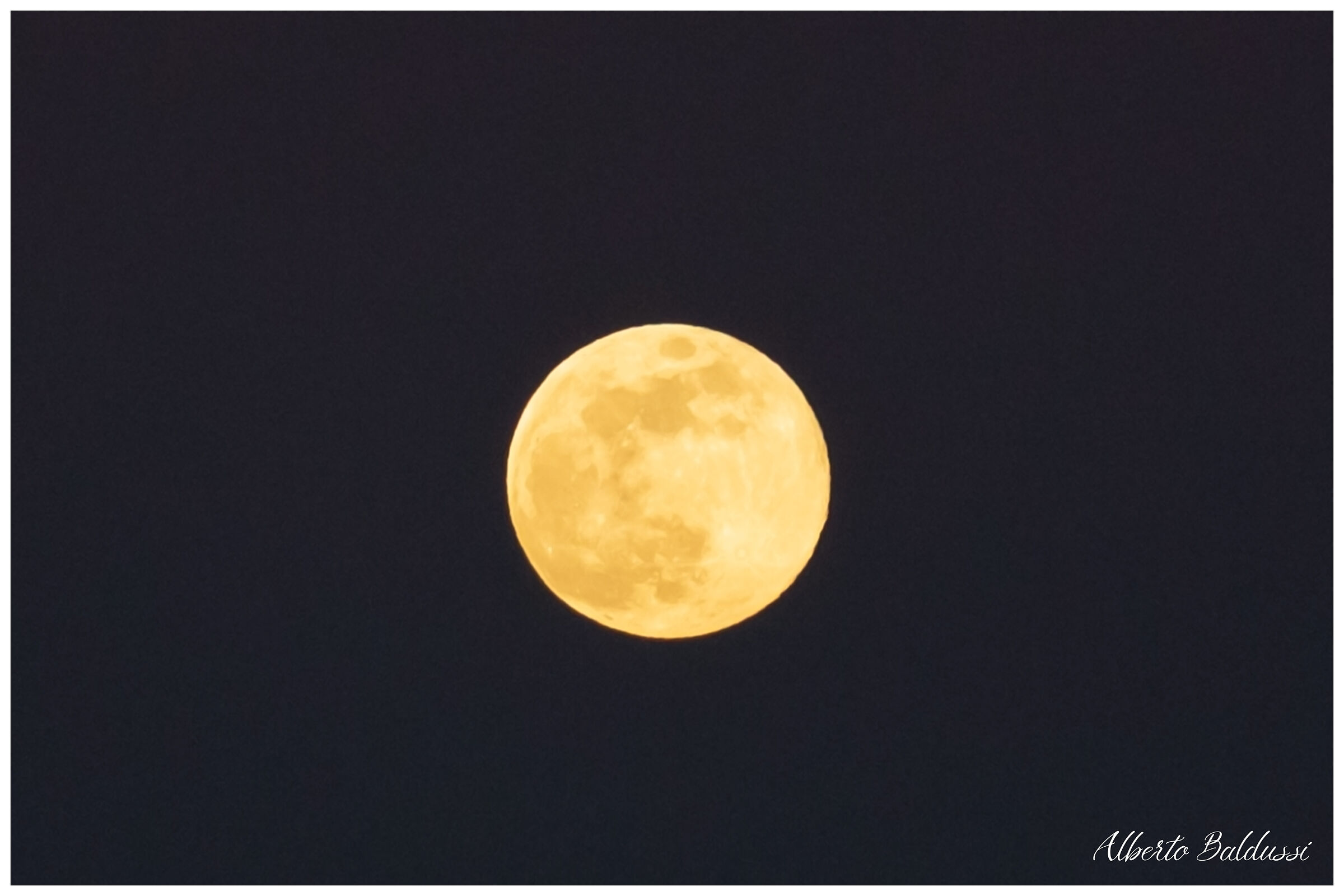 Winter Moon