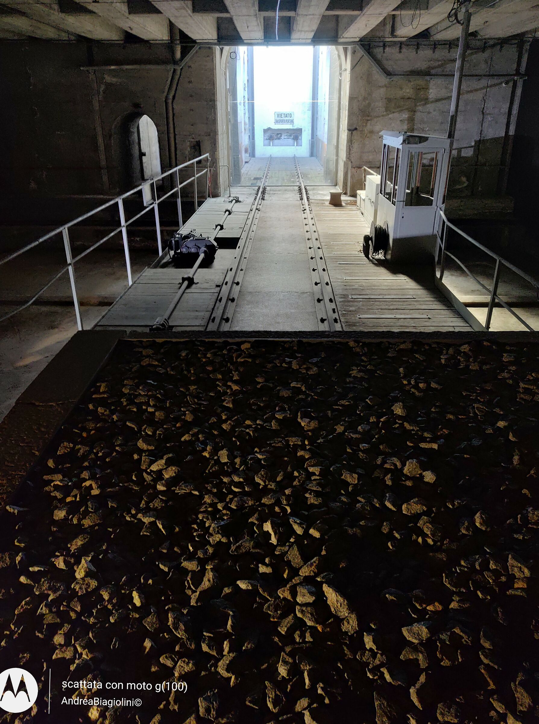 Organization and deportation