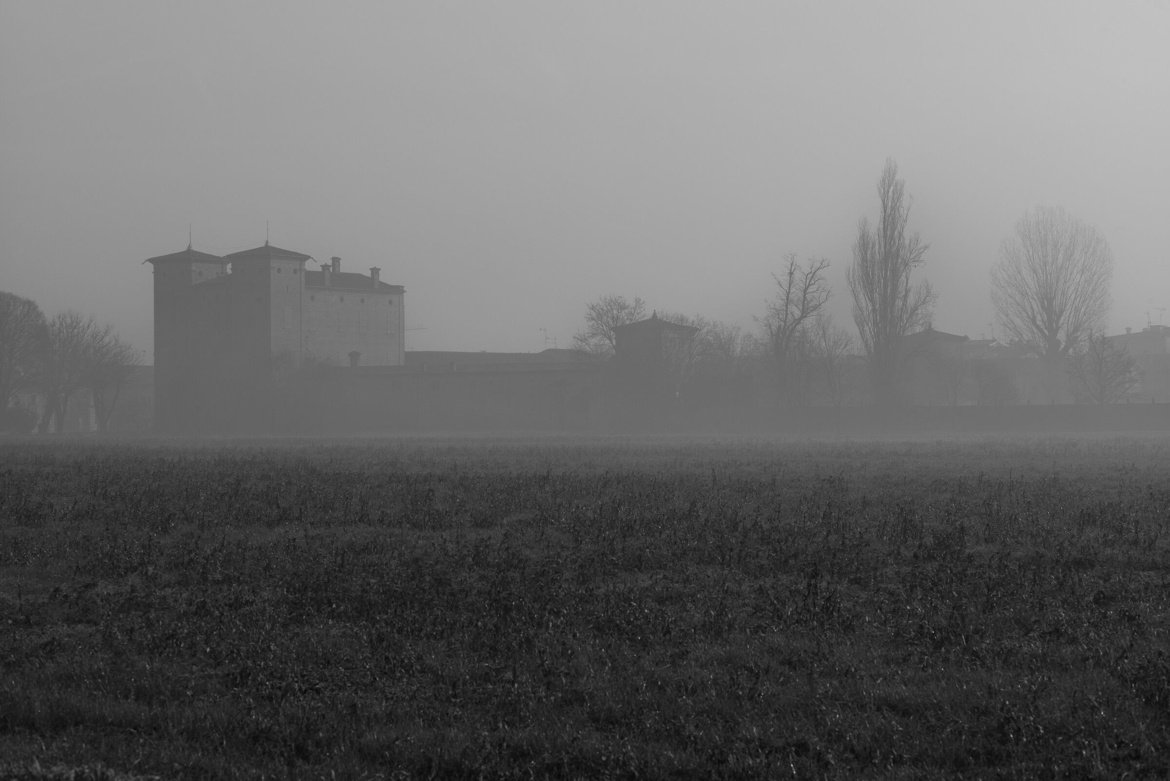The castle in the morning mist