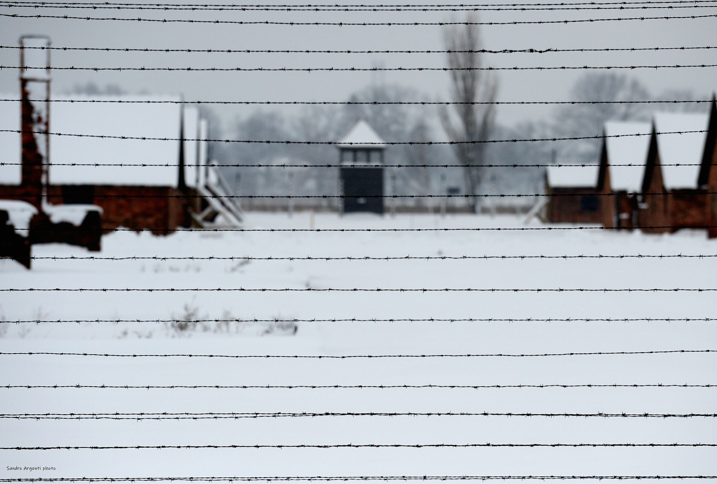 Per non dimenticare. Auschwitz.