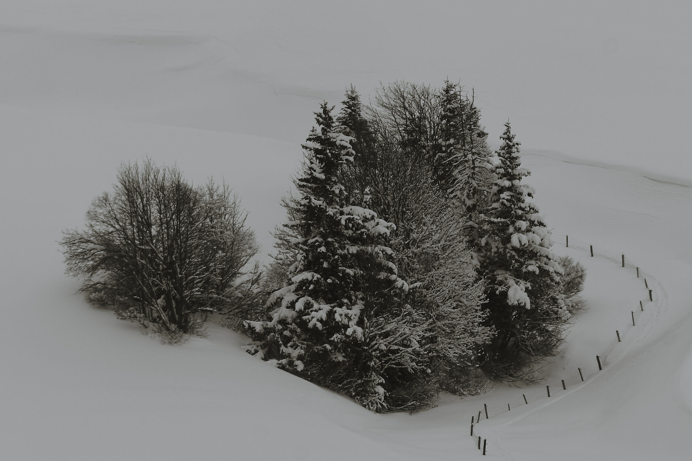 Nel silenzio