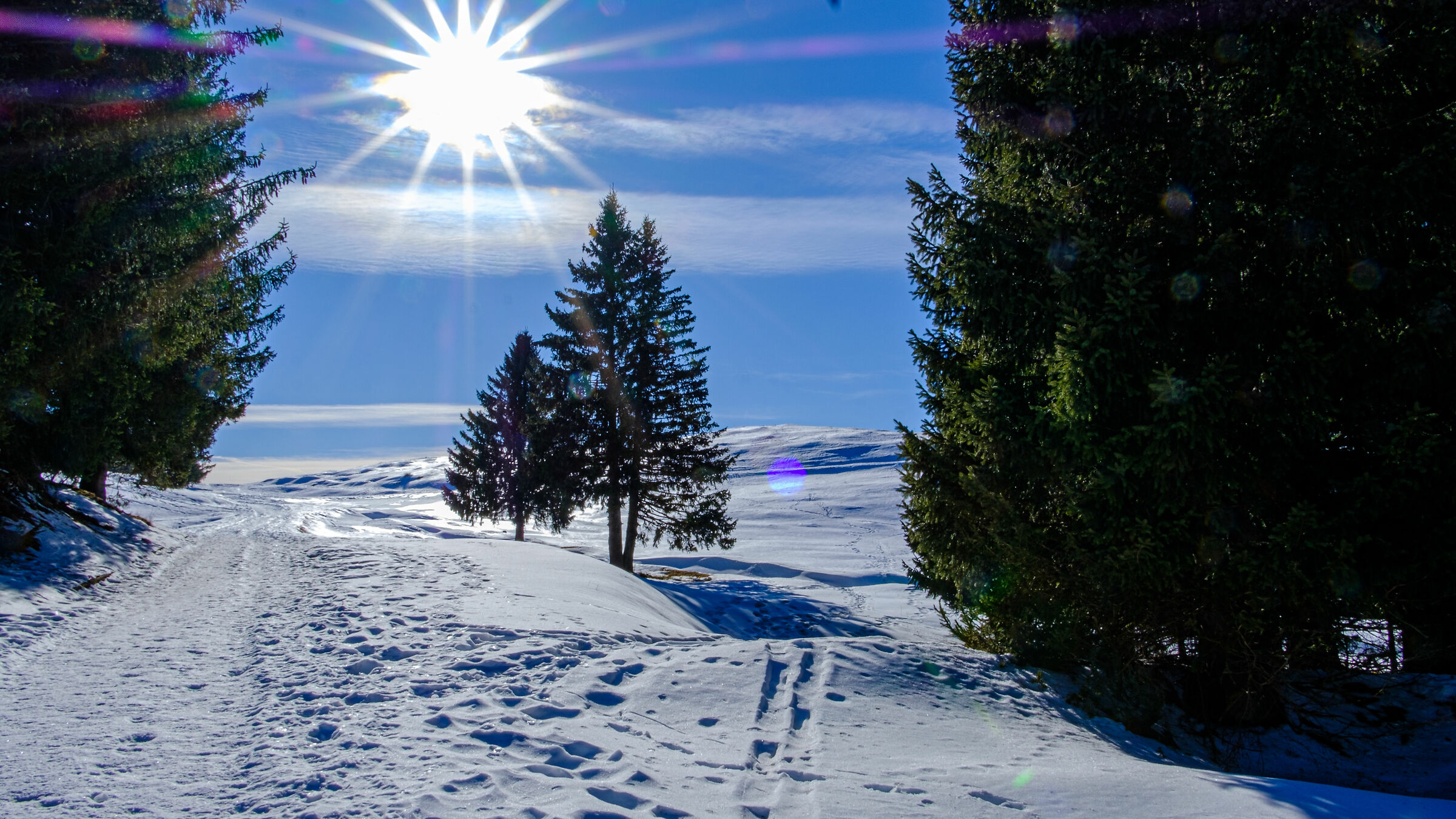 Passeggiata Monte Verena