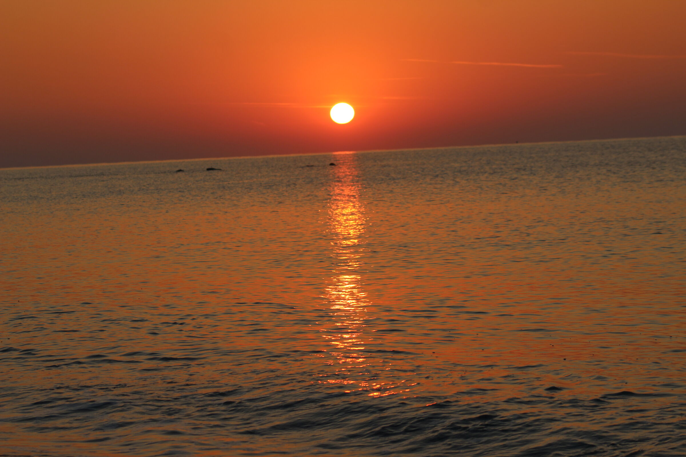 A New Day