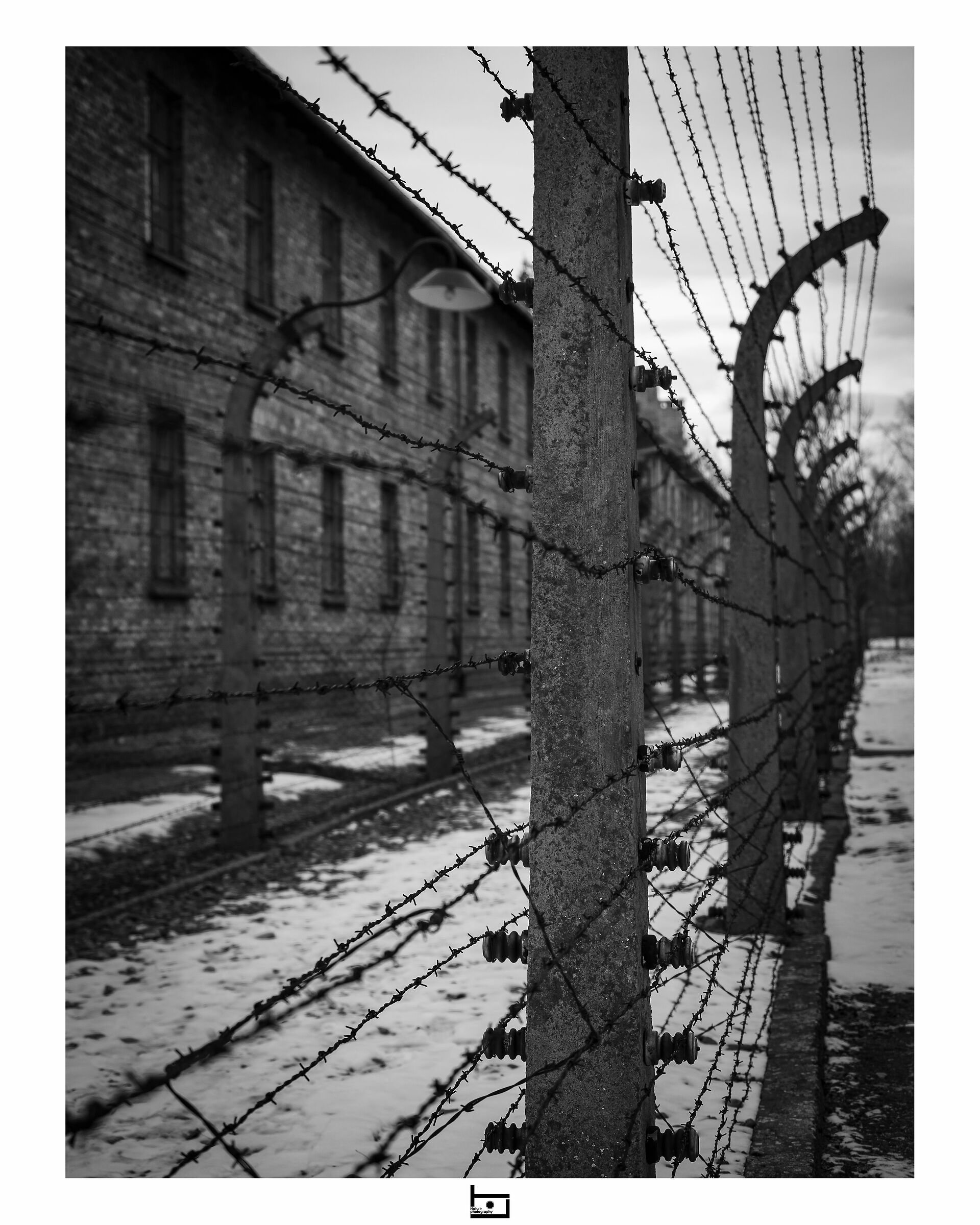 Auschwitz::wired
