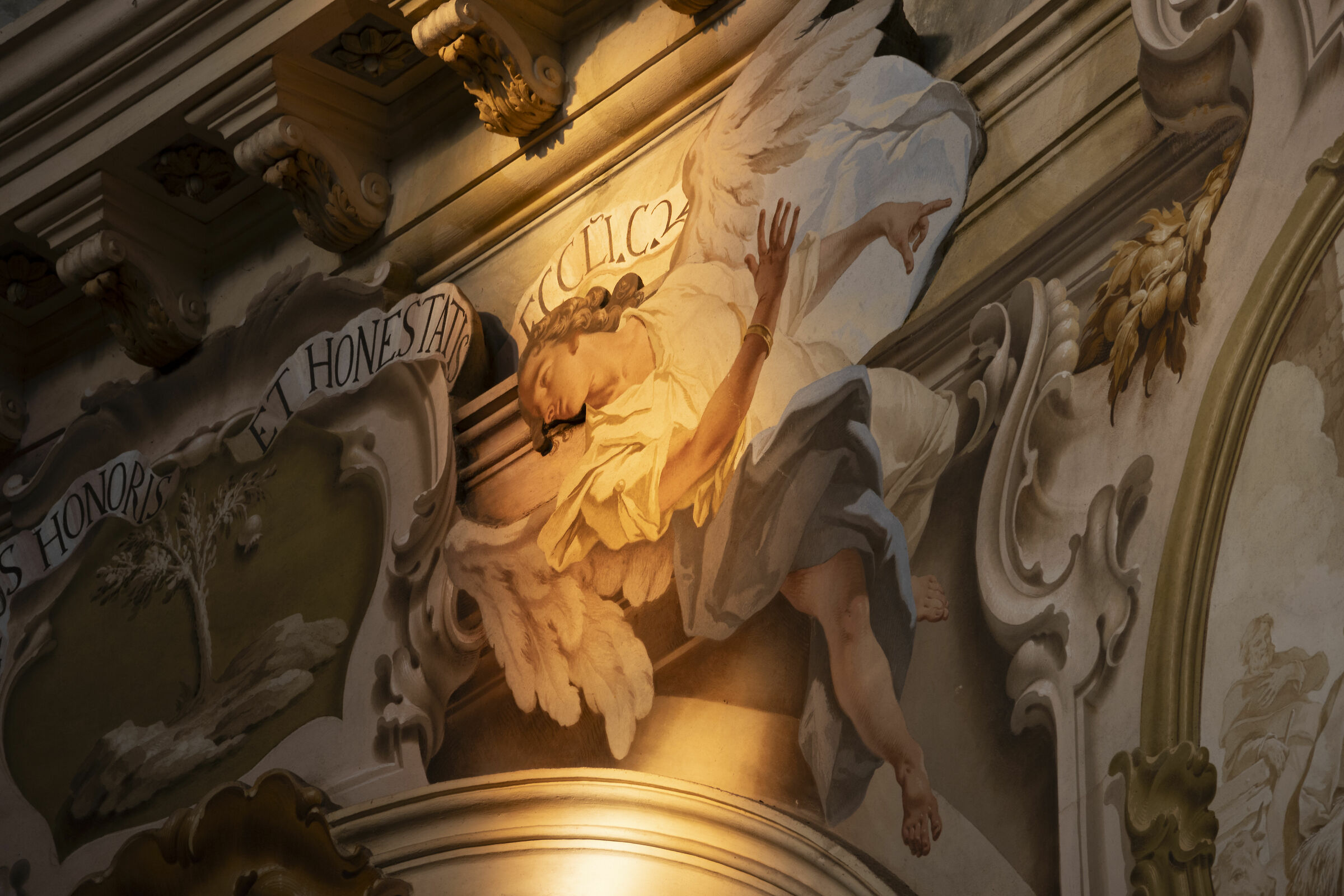 Santuariuo di Vicoforte (particolare)