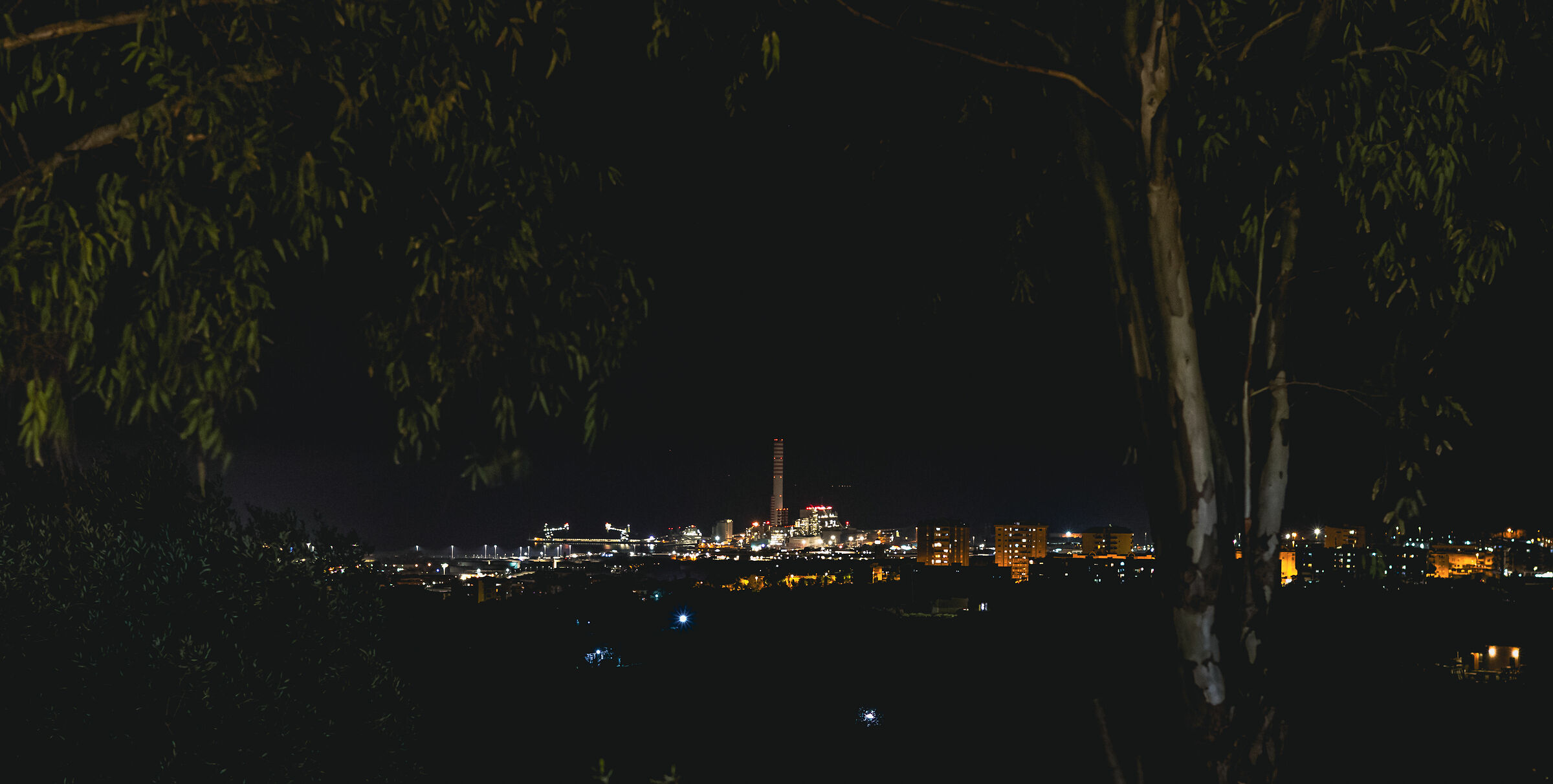 Untitled Photo