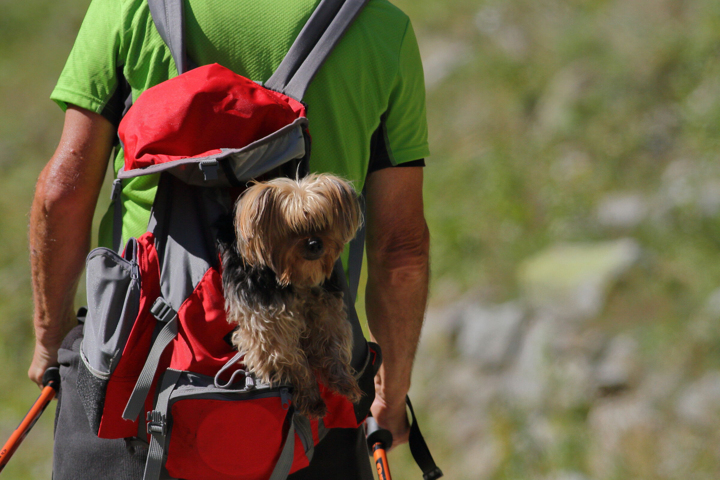 I take advantage of the passage