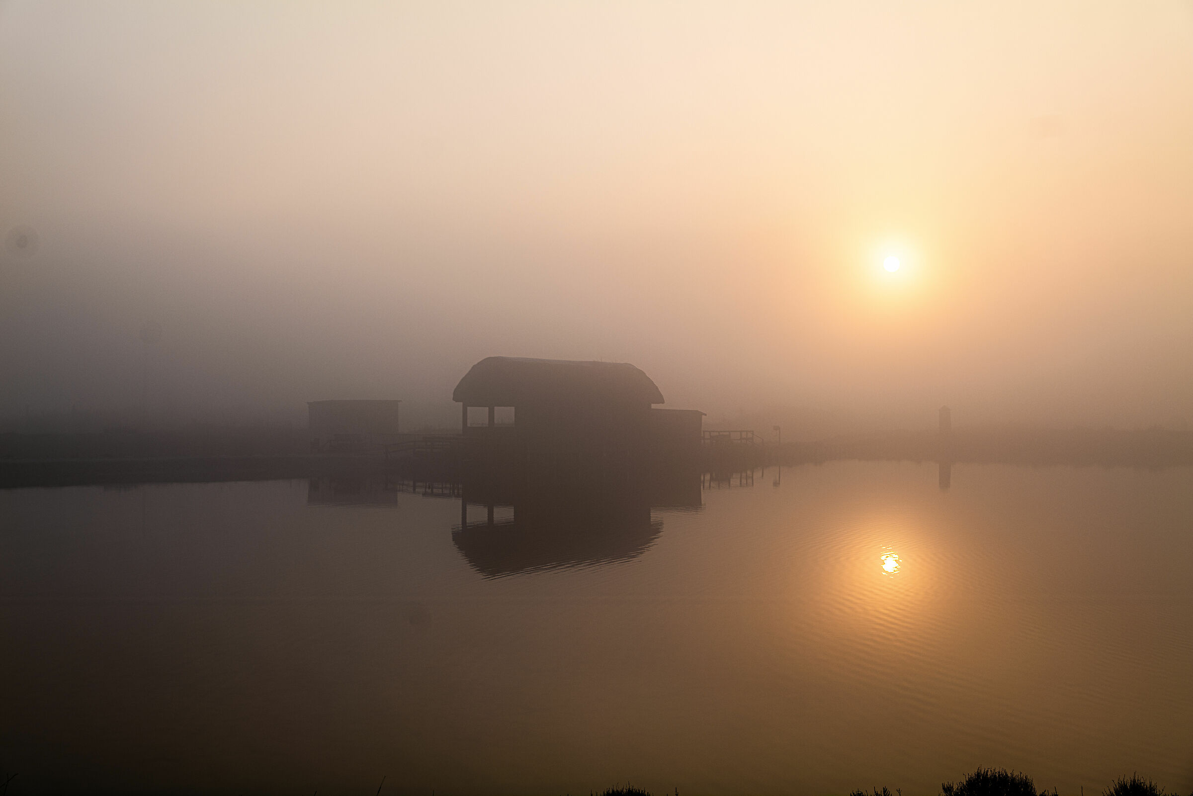 Alba sotto la nebbia
