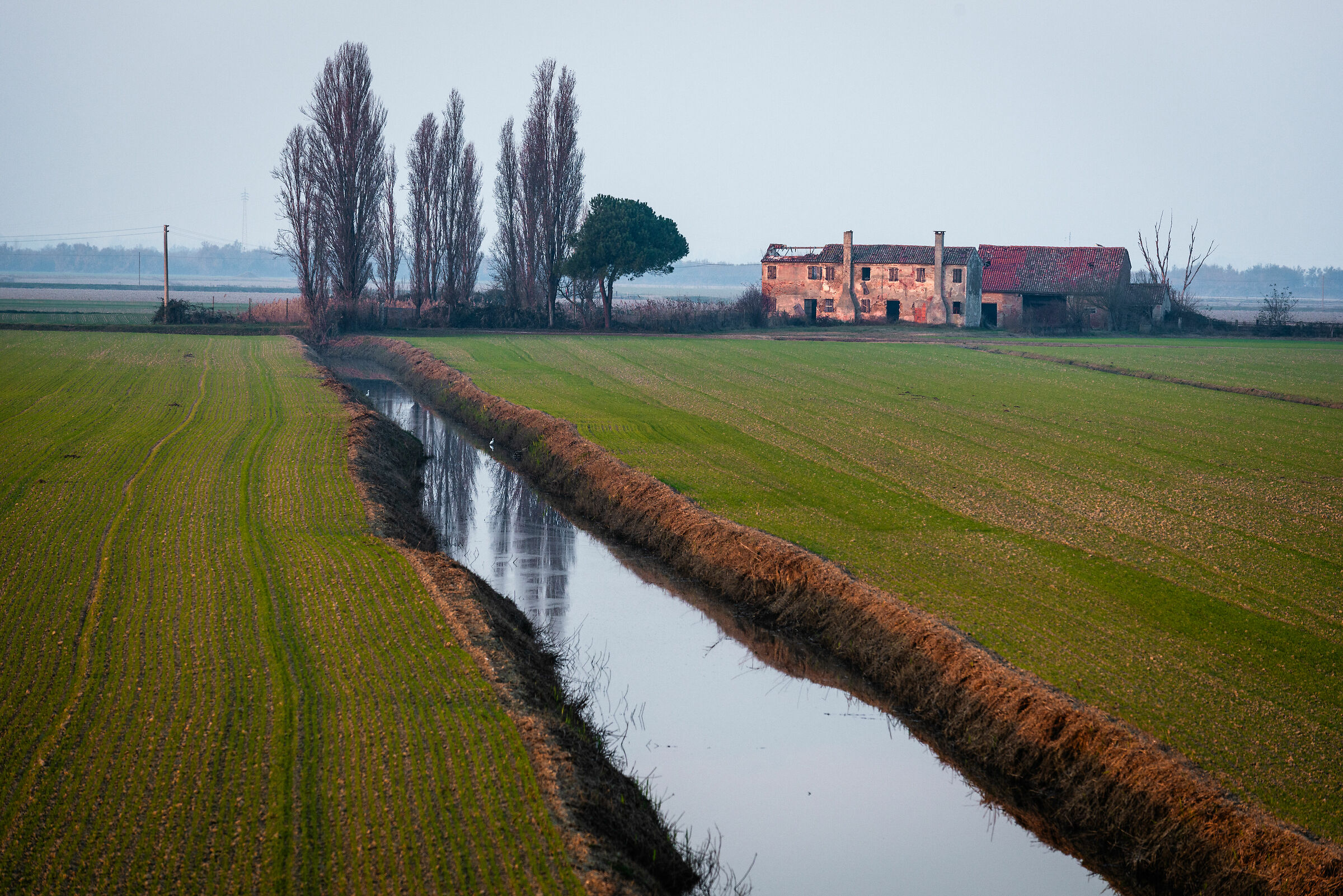 La campagna d'inverno