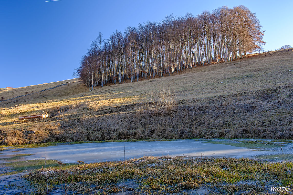 Alpeggio in Lessinia