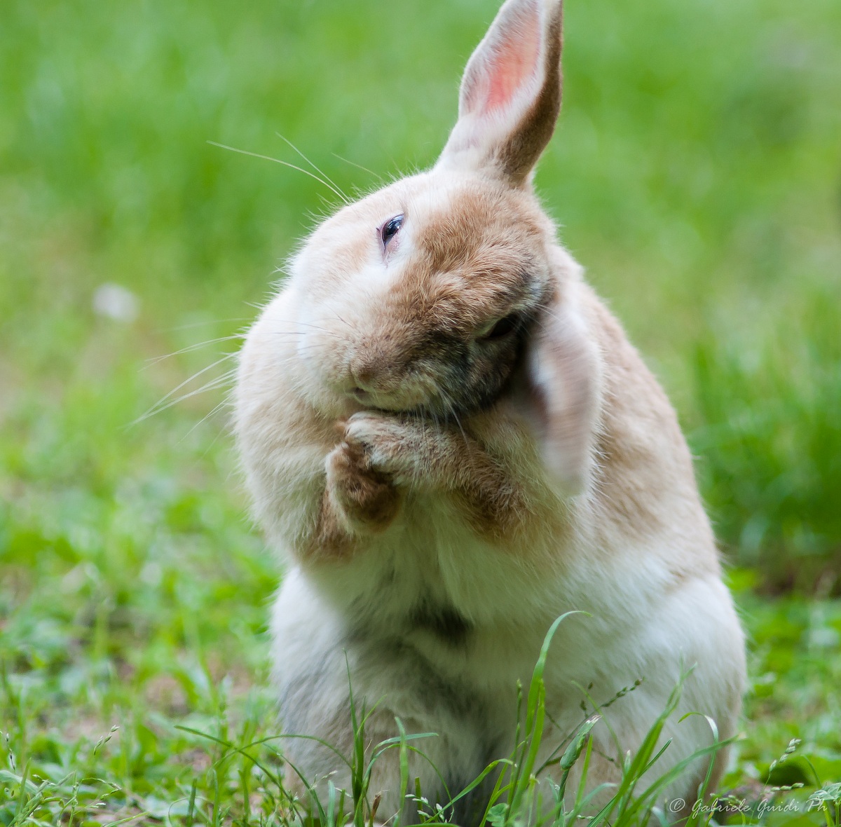 Ti prego, basta foto