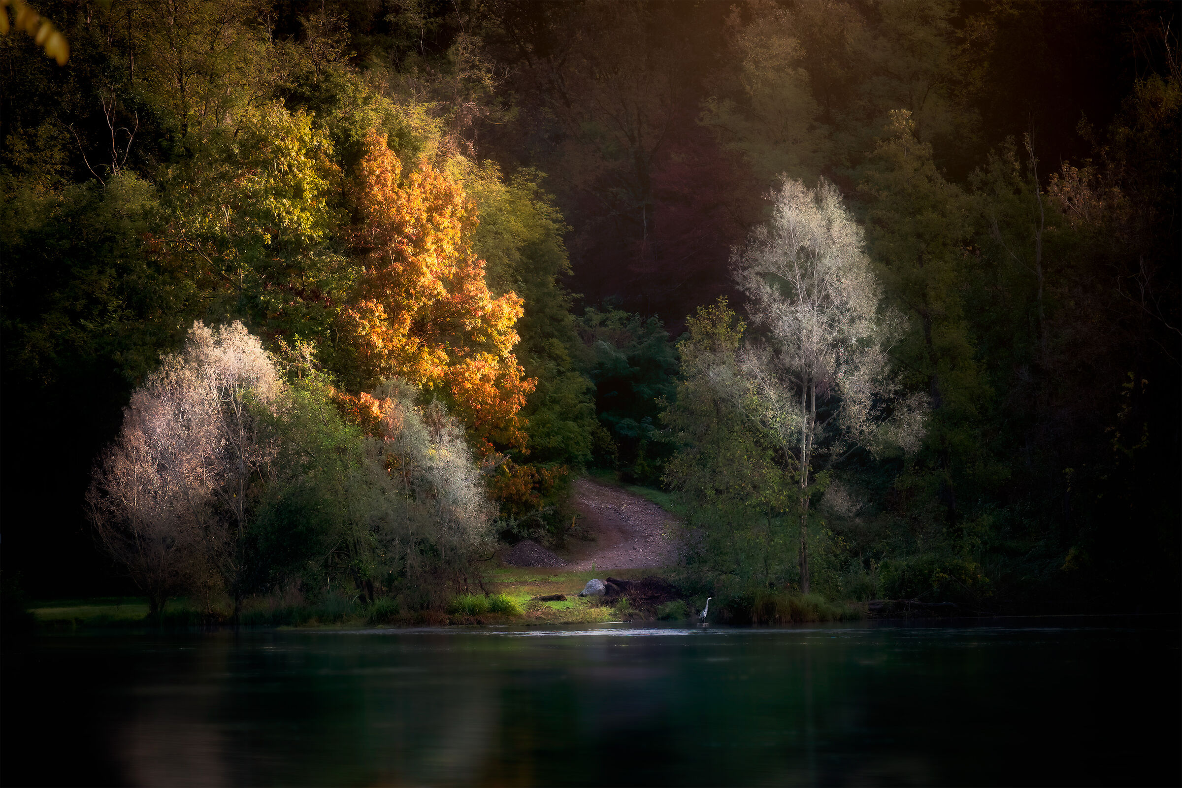 Last glimpse of autumn