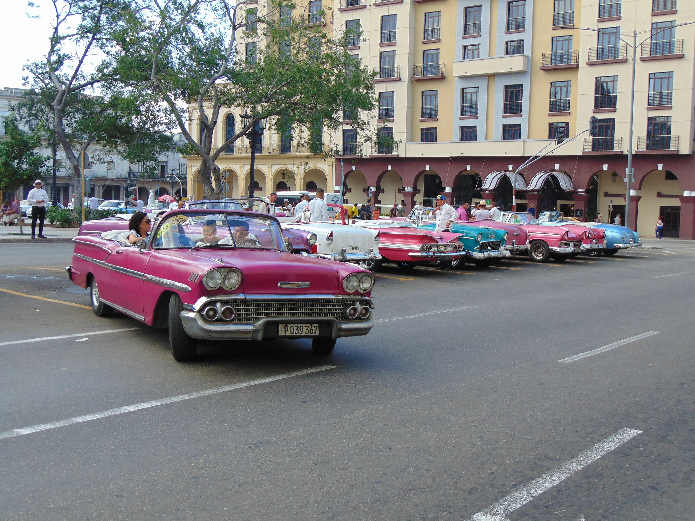 Old Cars in Havana