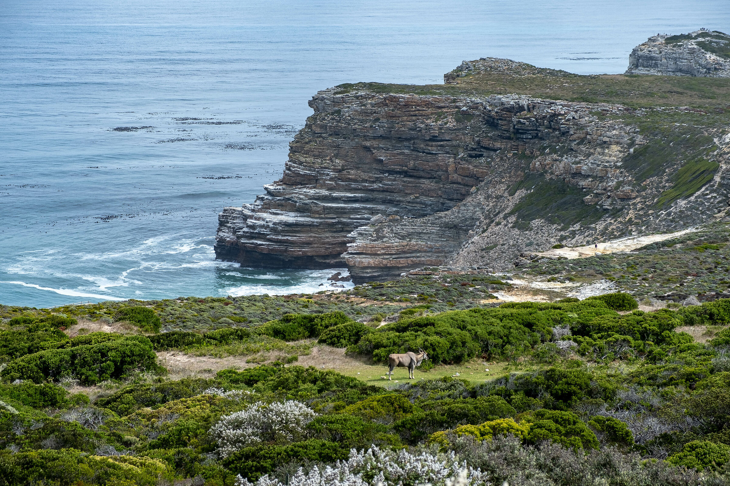 South Africa Cape oh Good Hope