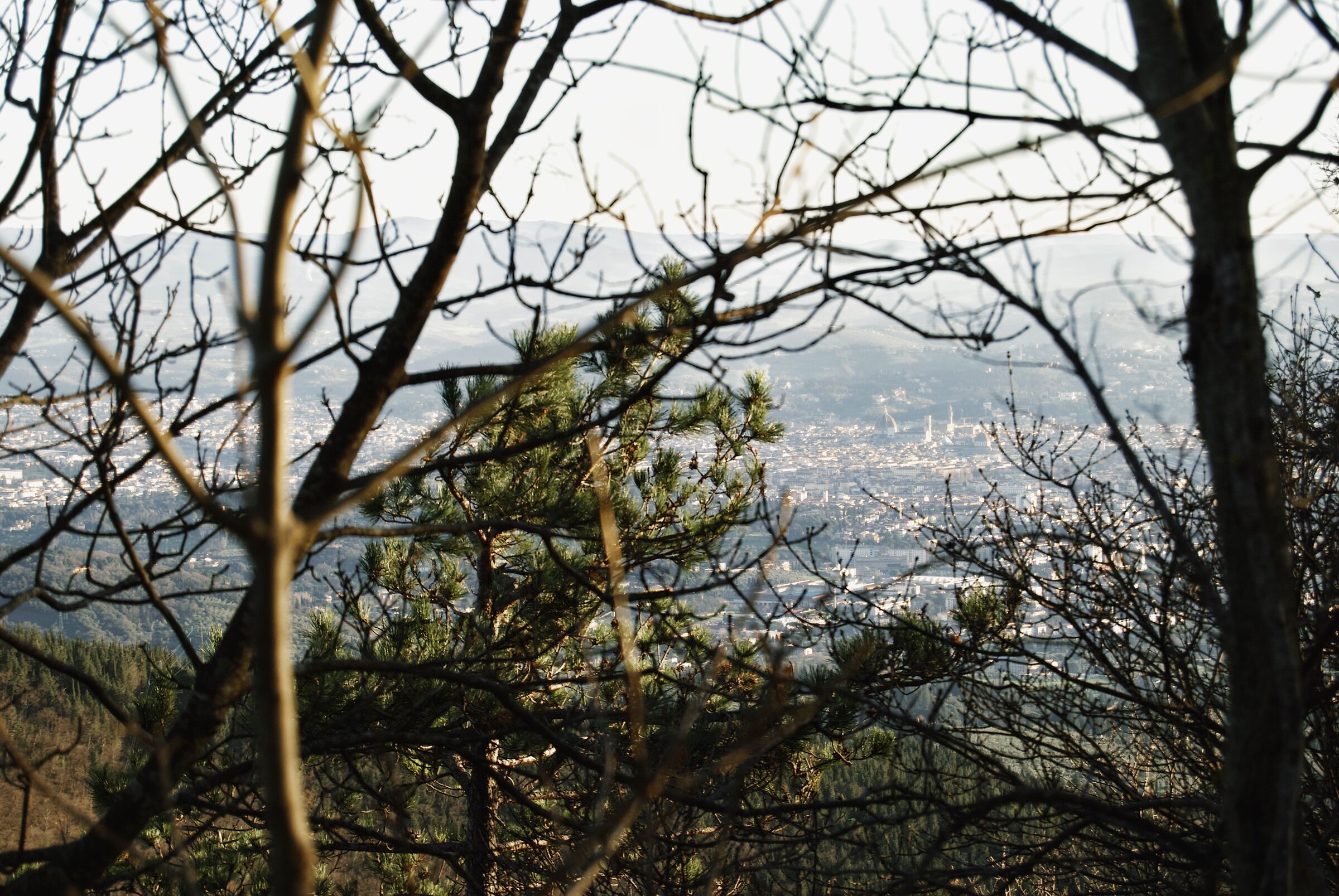 La regina della città