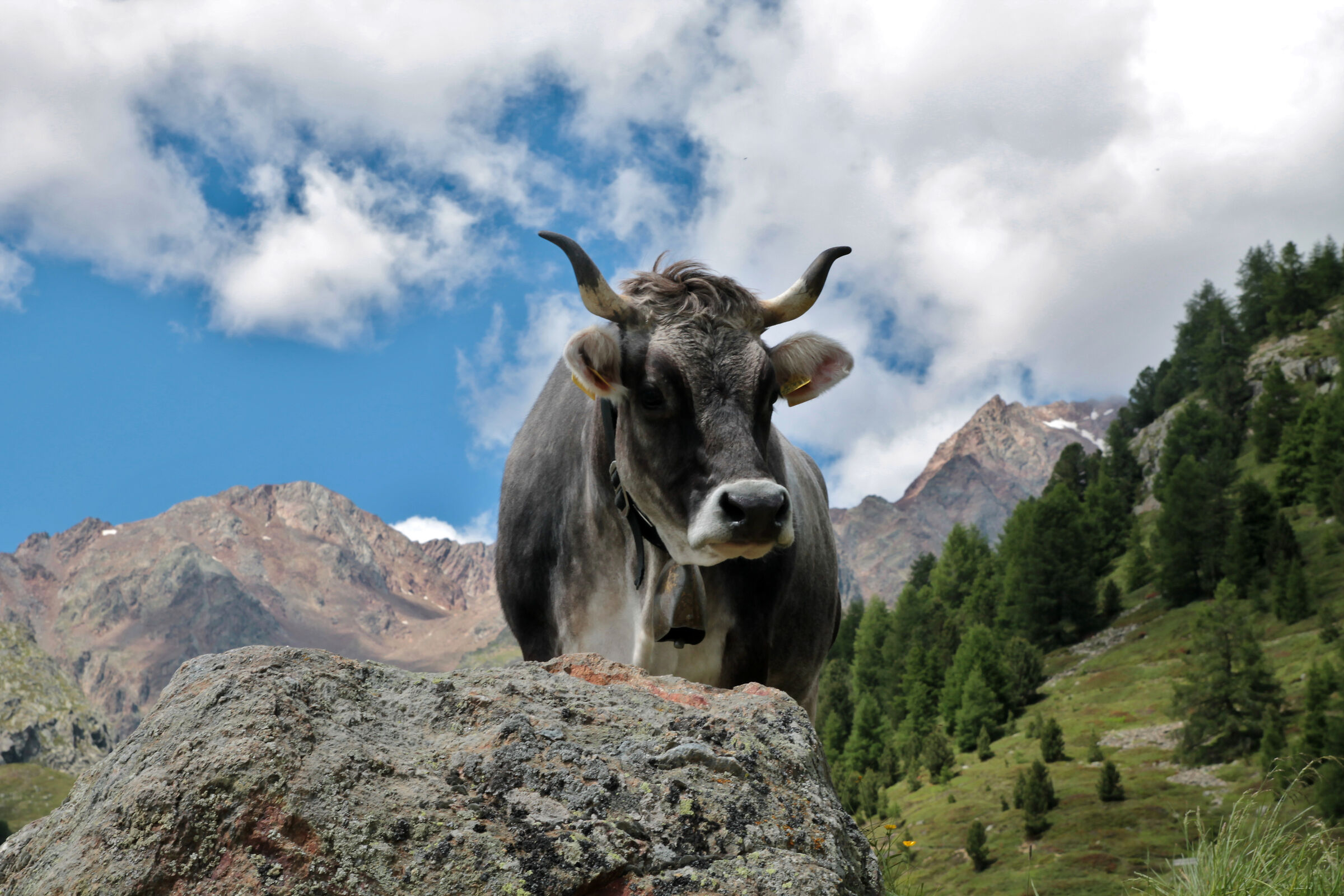 incontri in alta quota