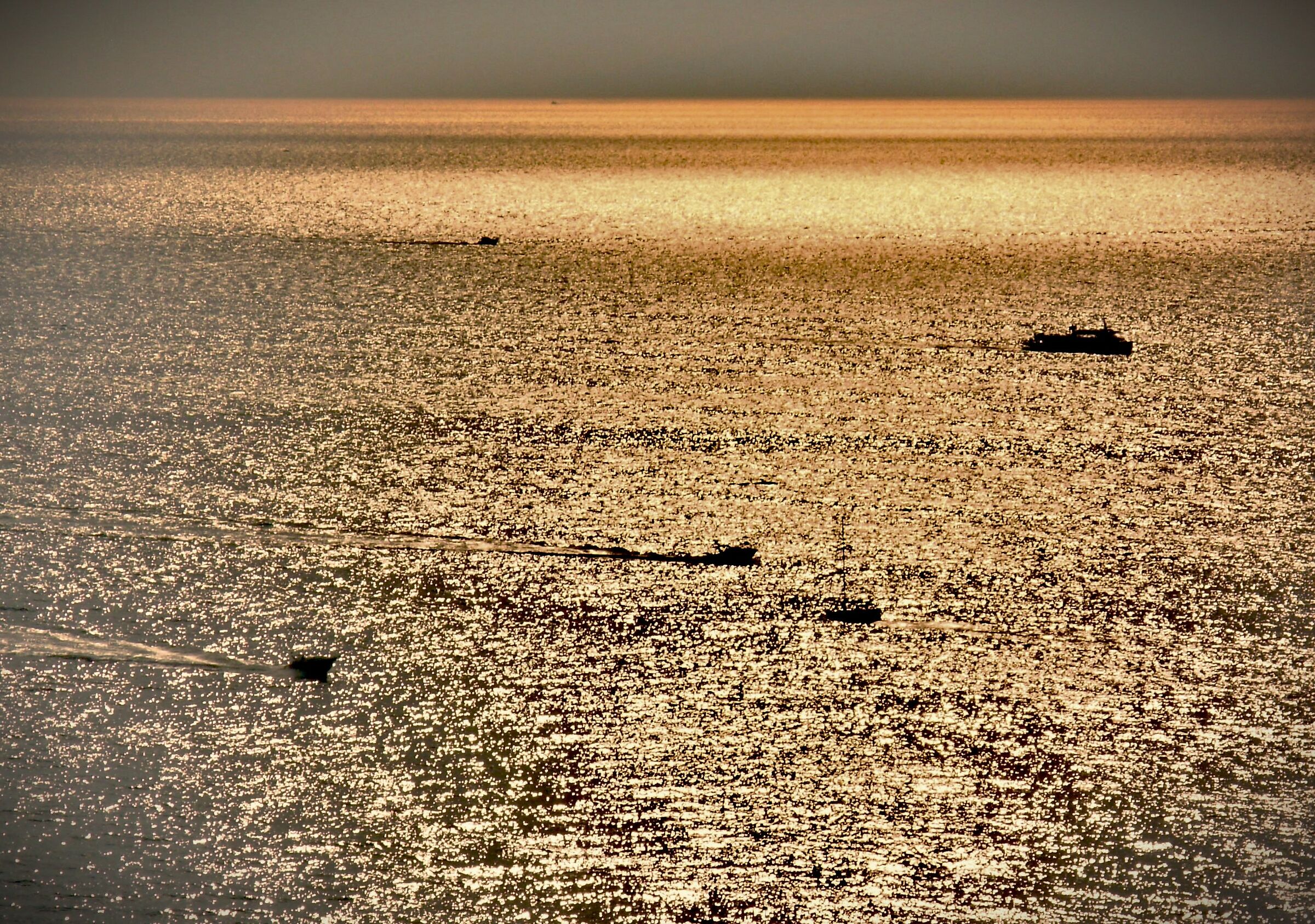 navigando in un mare dorato