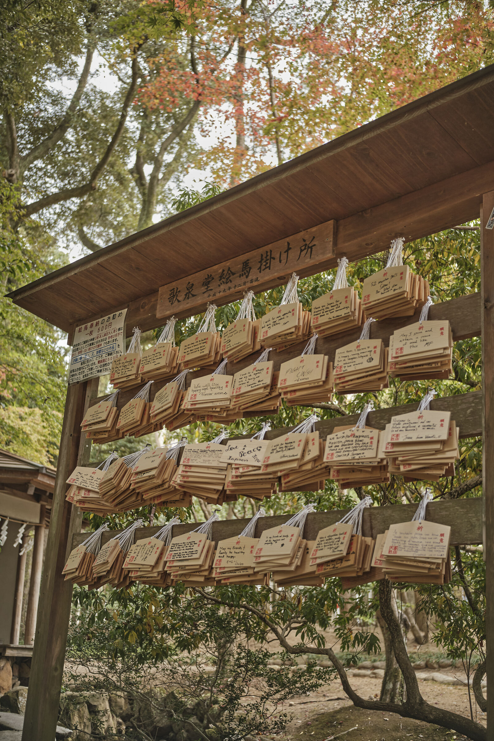 Esprimi un desiderio