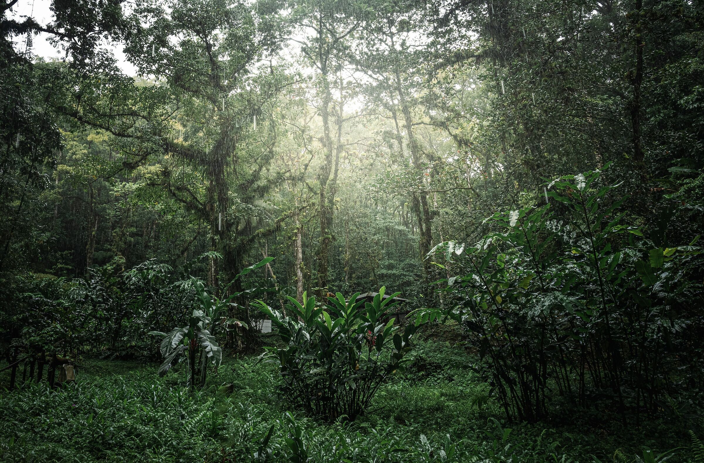 Nature