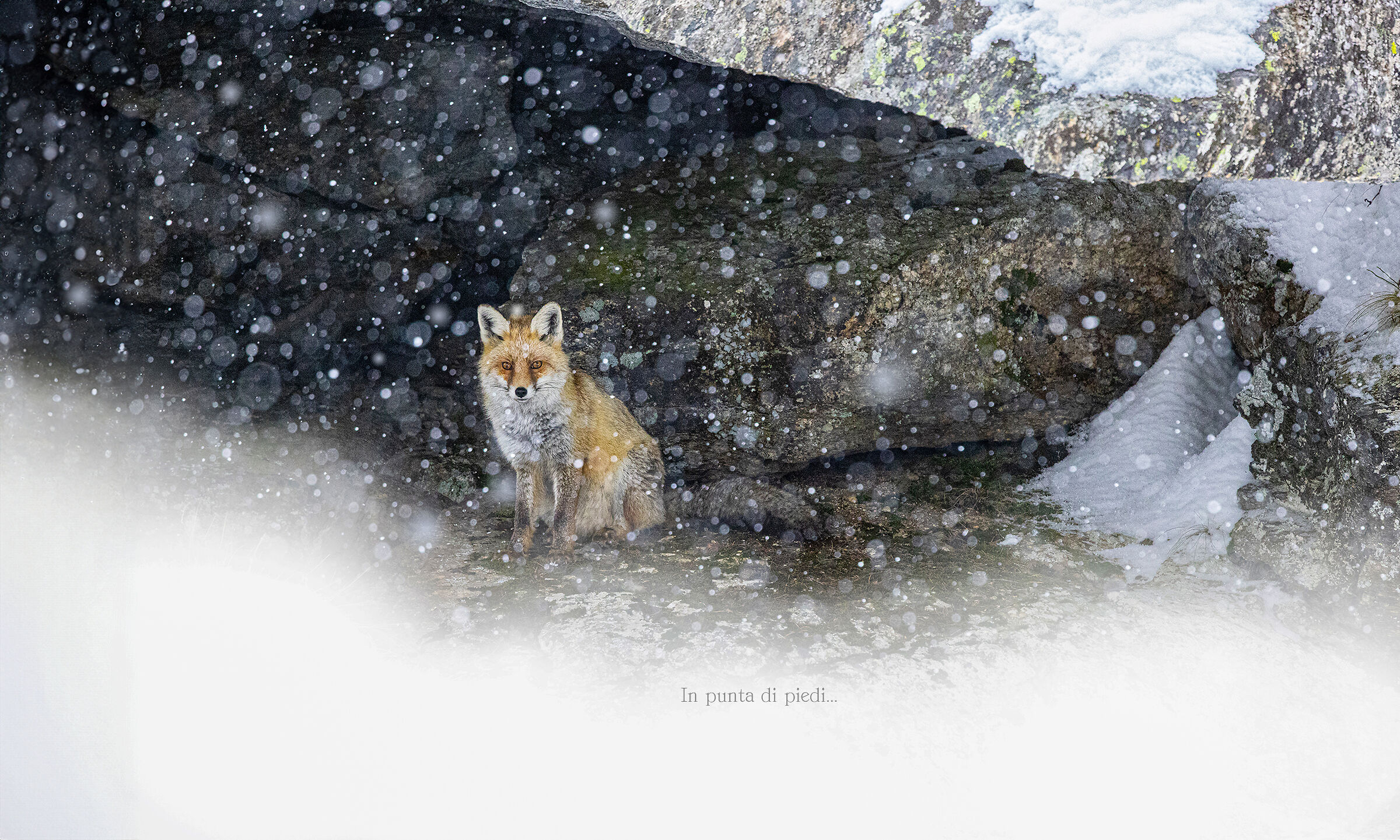 l'ultima leggera Nevicata del 18 gennaio 2024...