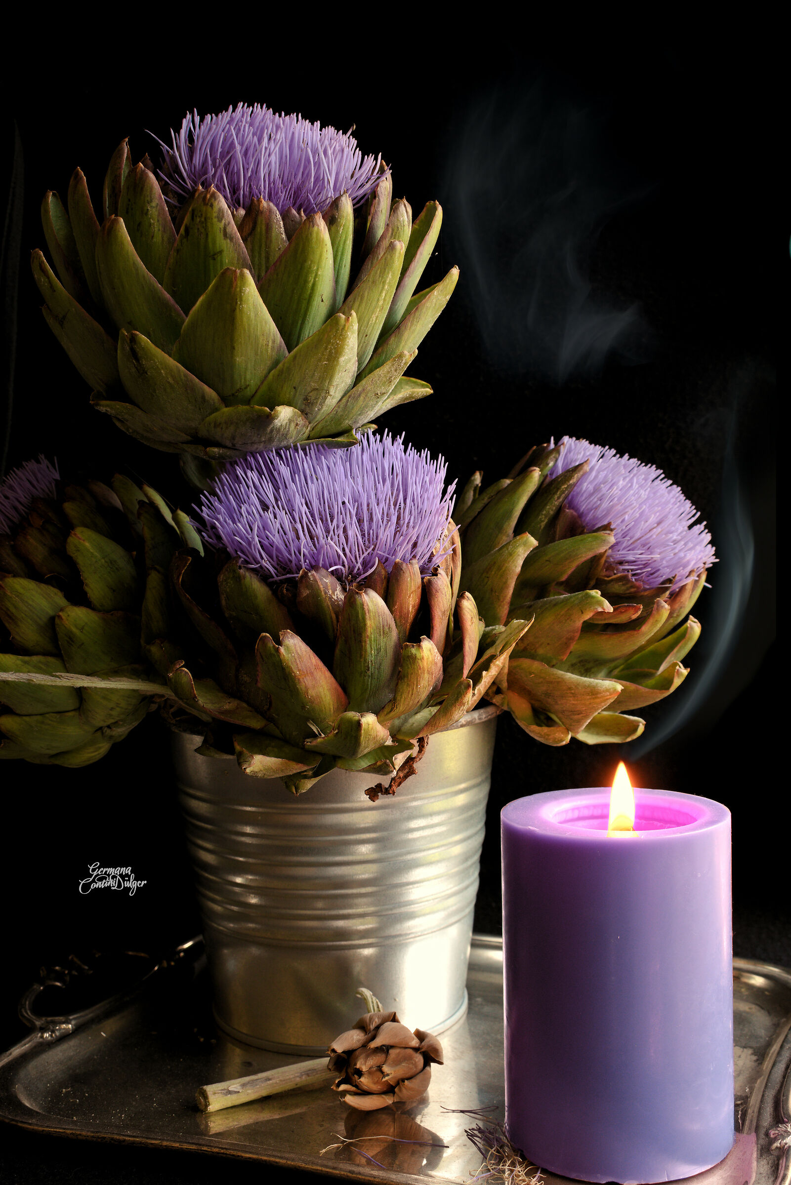 Carciofo e candela