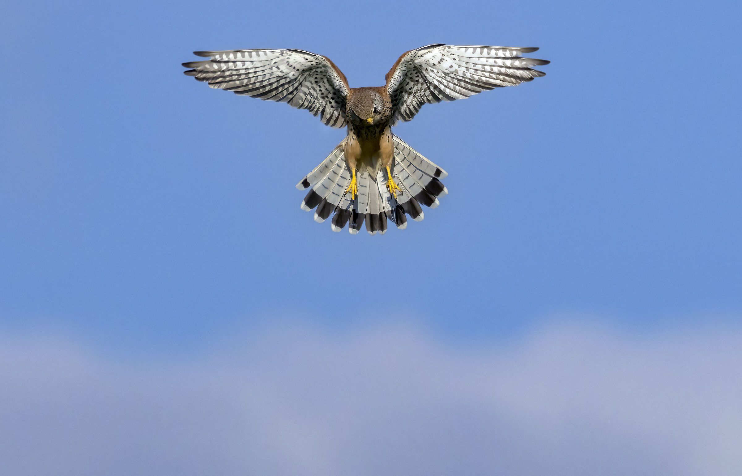 A un passo dal cielo.....