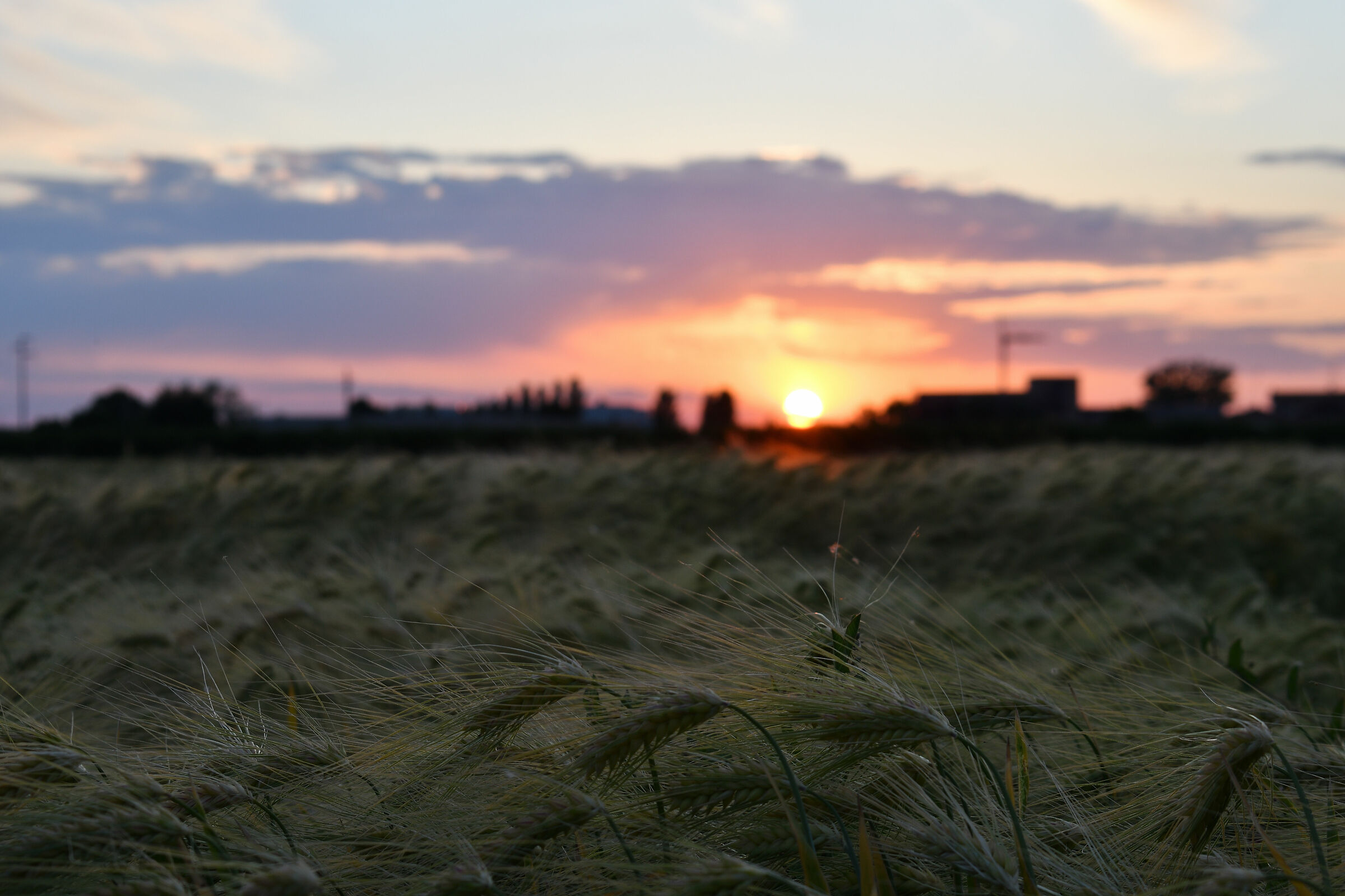 Tramonto Via Saldone Gallo Ferrara