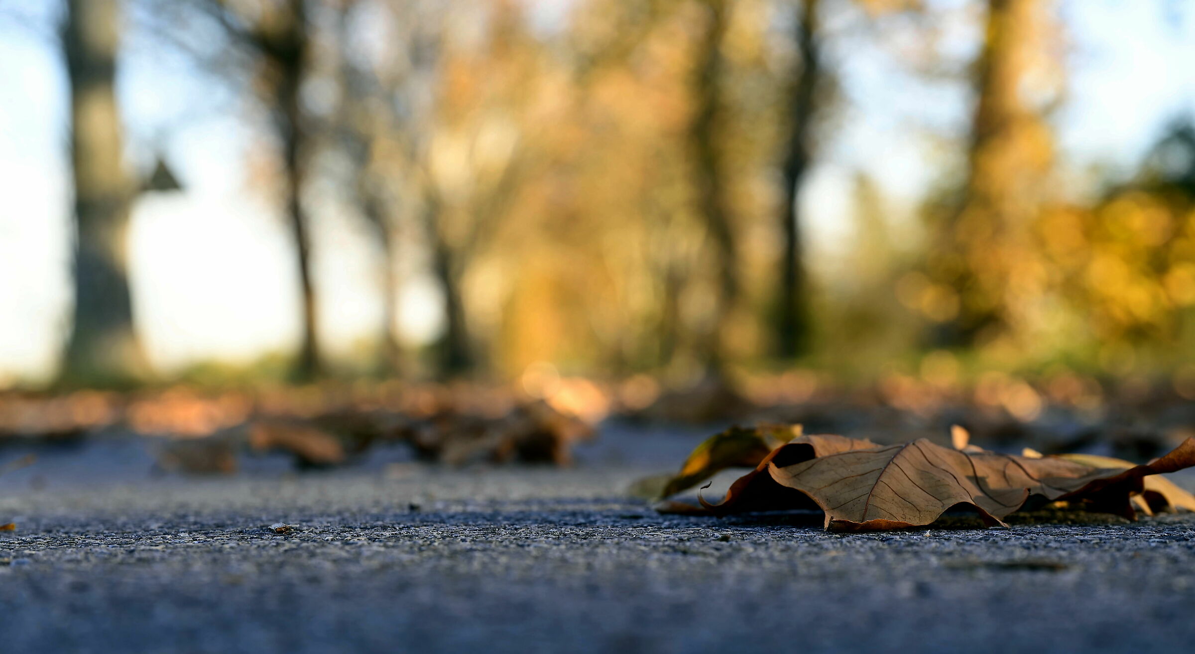 Speriamo non passi nessuno
