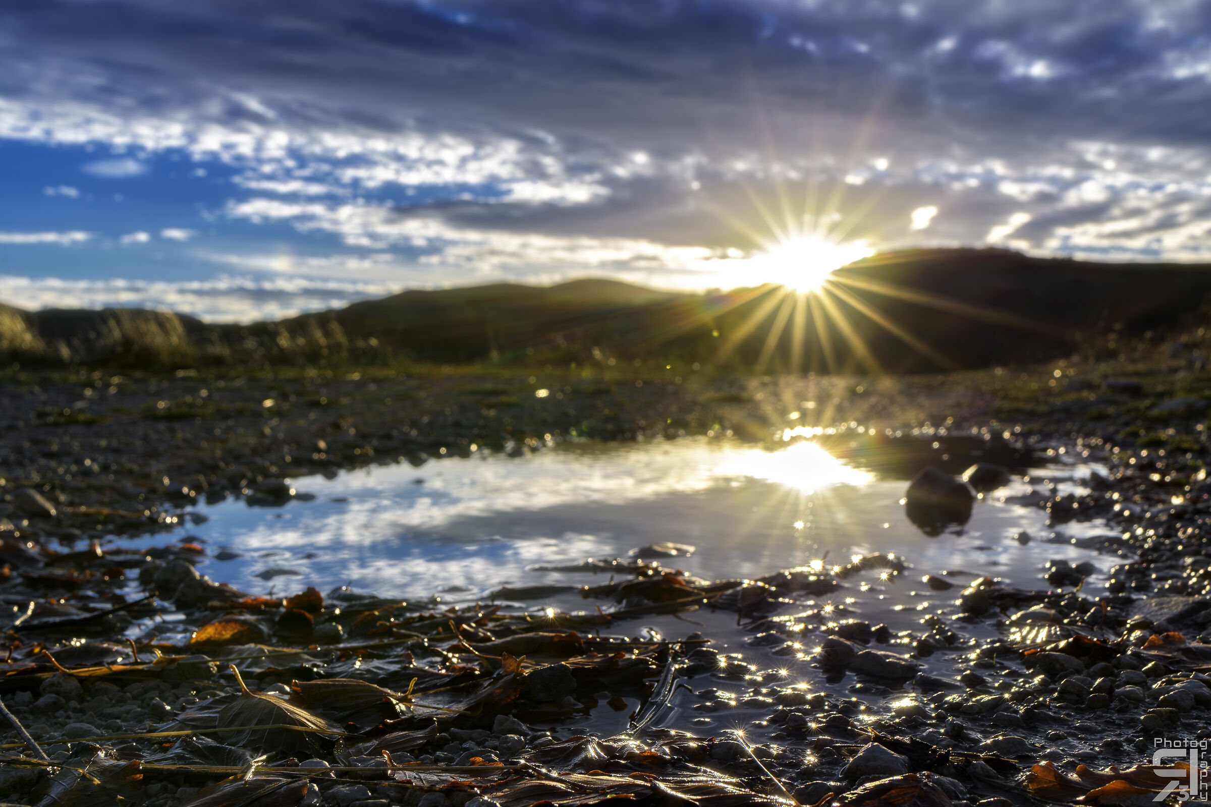 Autunno in una pozzanghera