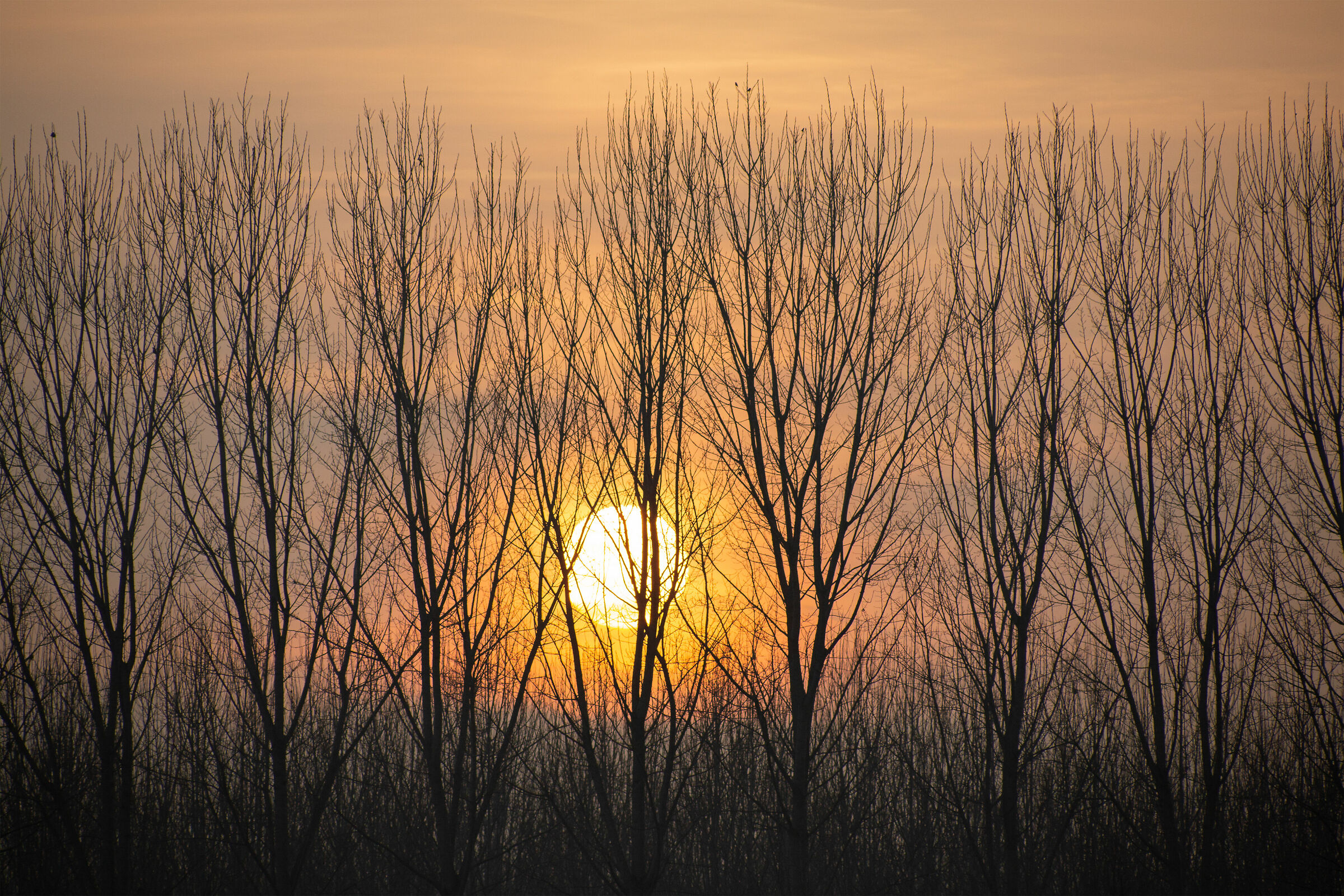 Sunrise or Sunset? That is the dilemma