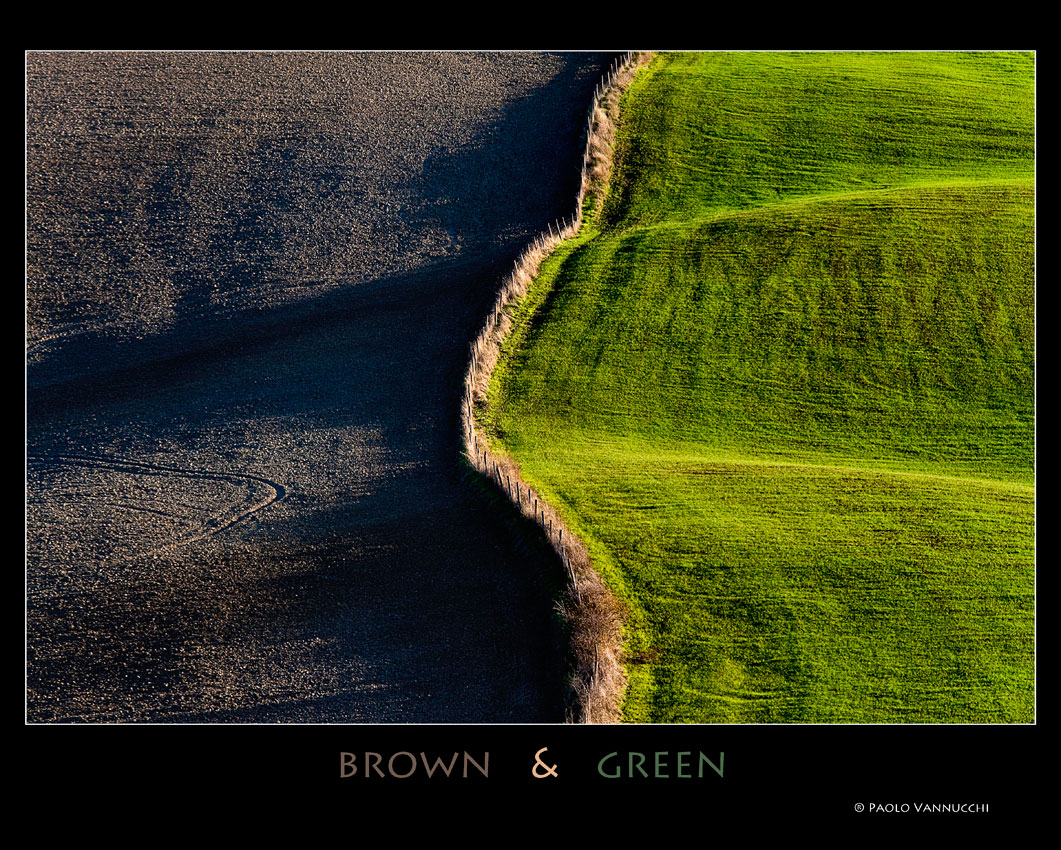 Brown & Green