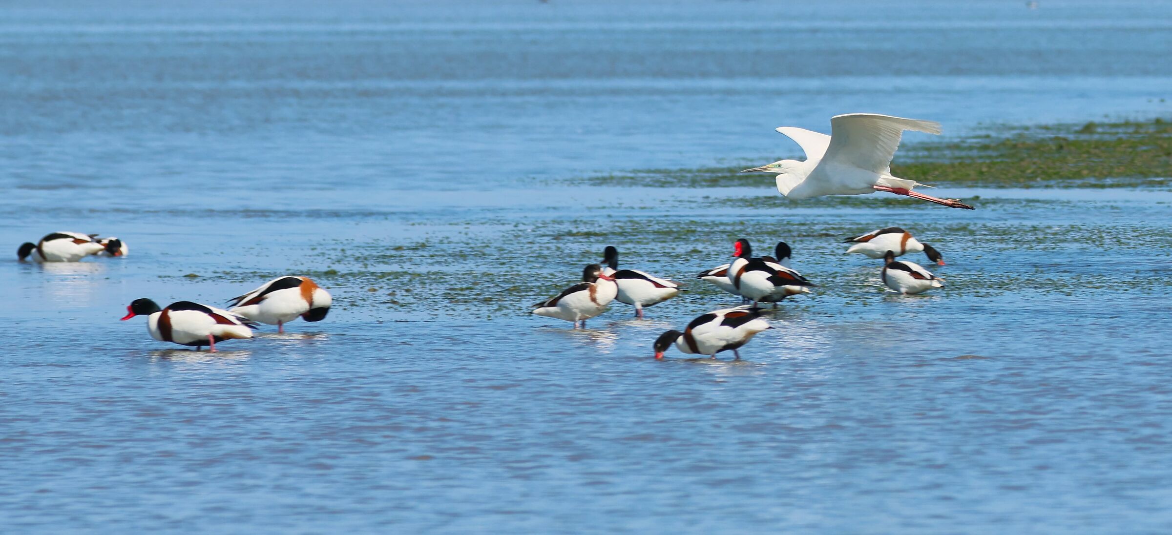 Blue Water Water....