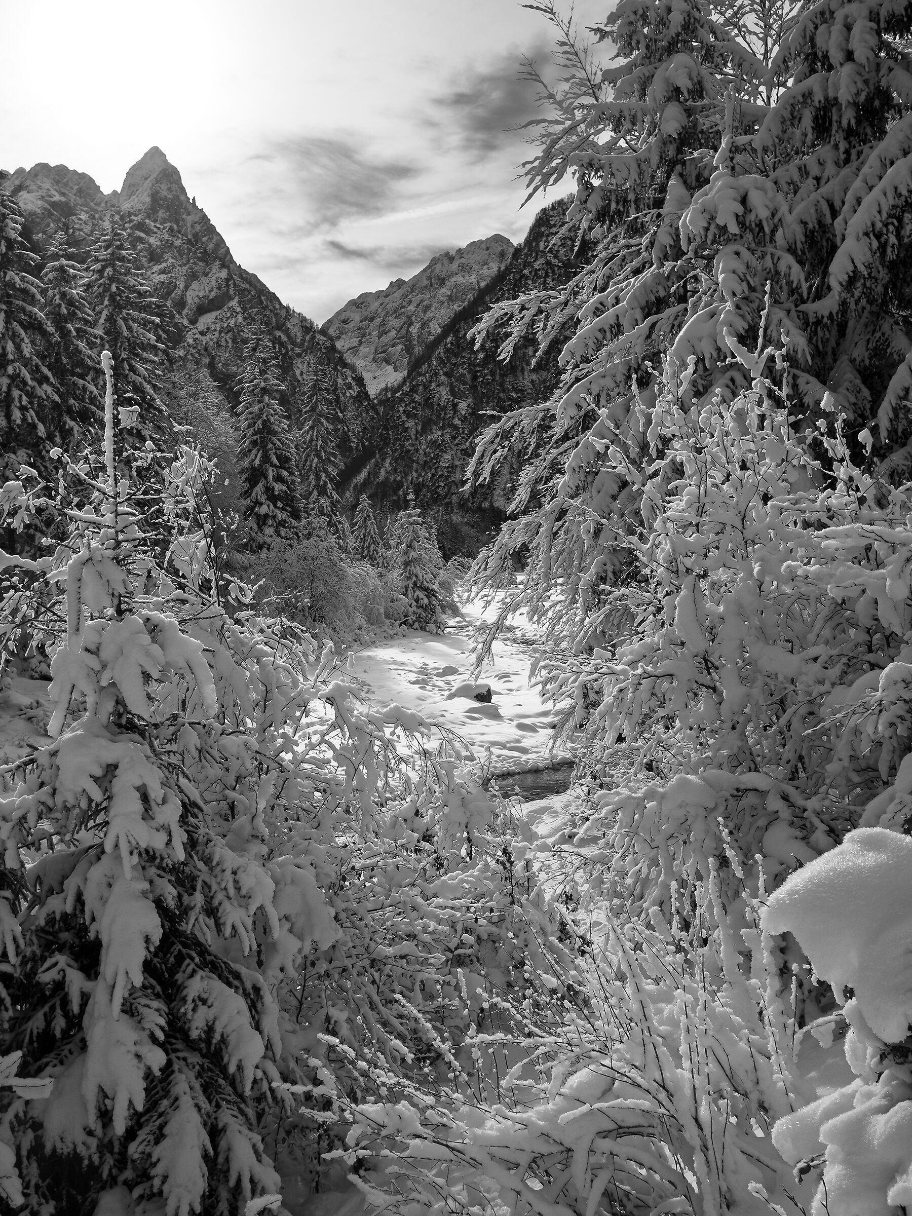 Val Romana - Alpi Giulie