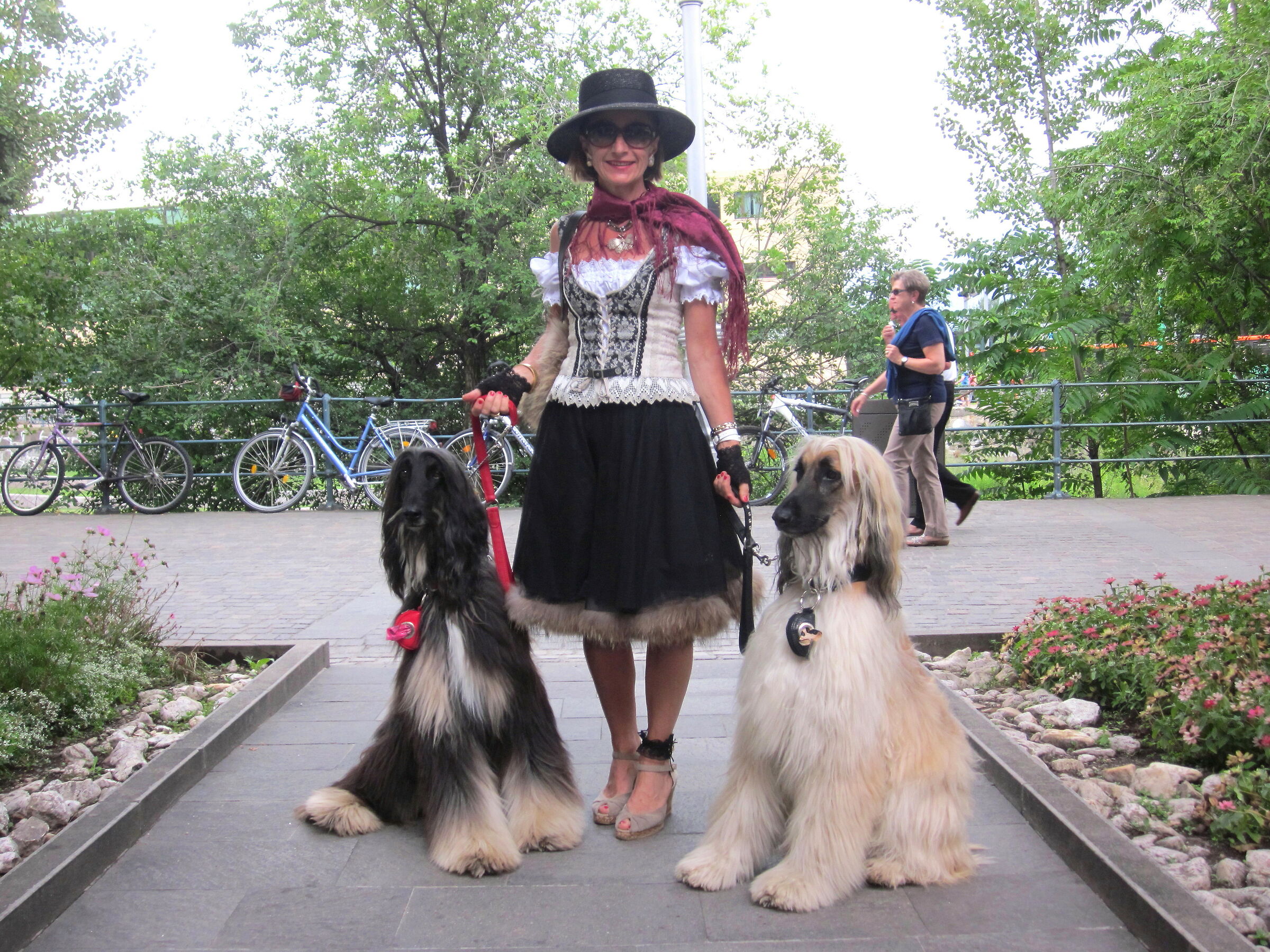 Notice the posture of greyhounds