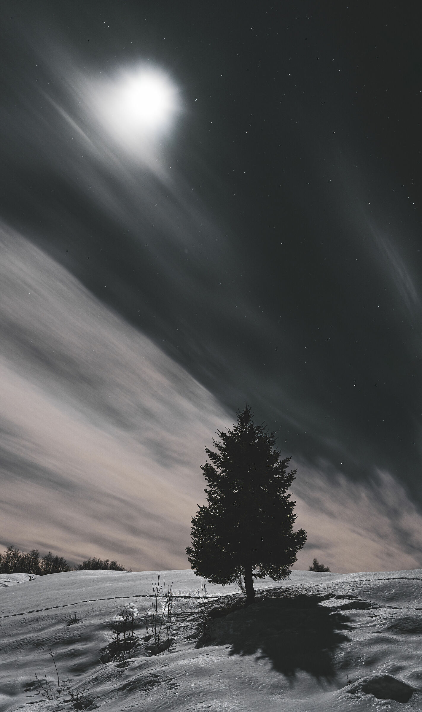 Sotto la luce lunare