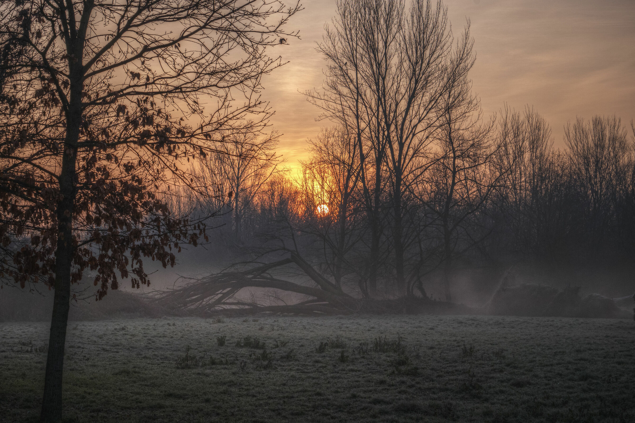 Sunrise on the Milanese fields