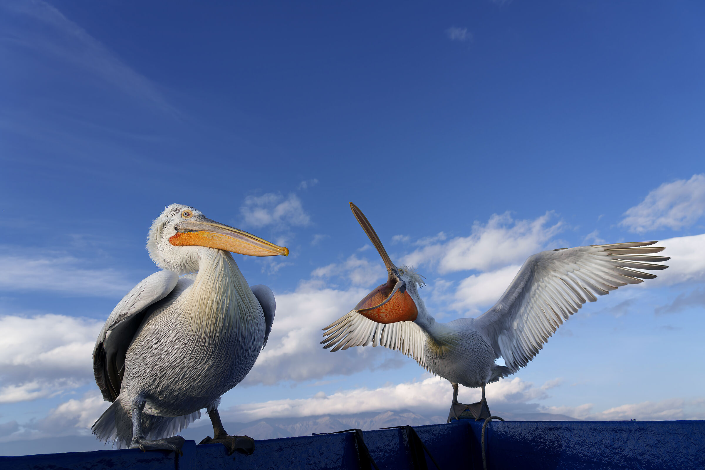 You have to leave, you know?