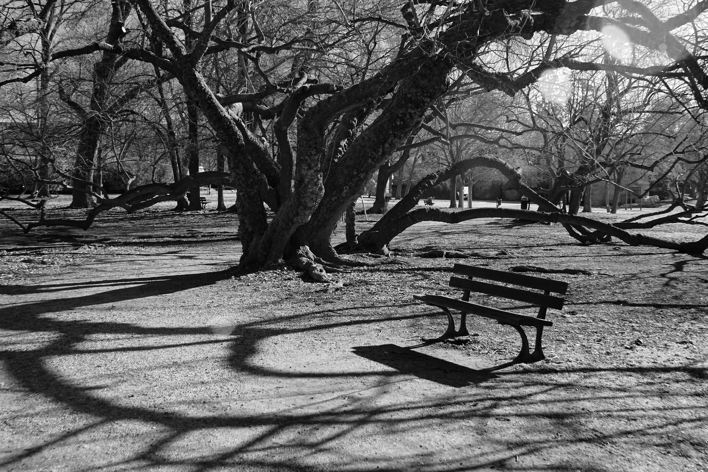 IR - filtro rosso - Jpeg in camera