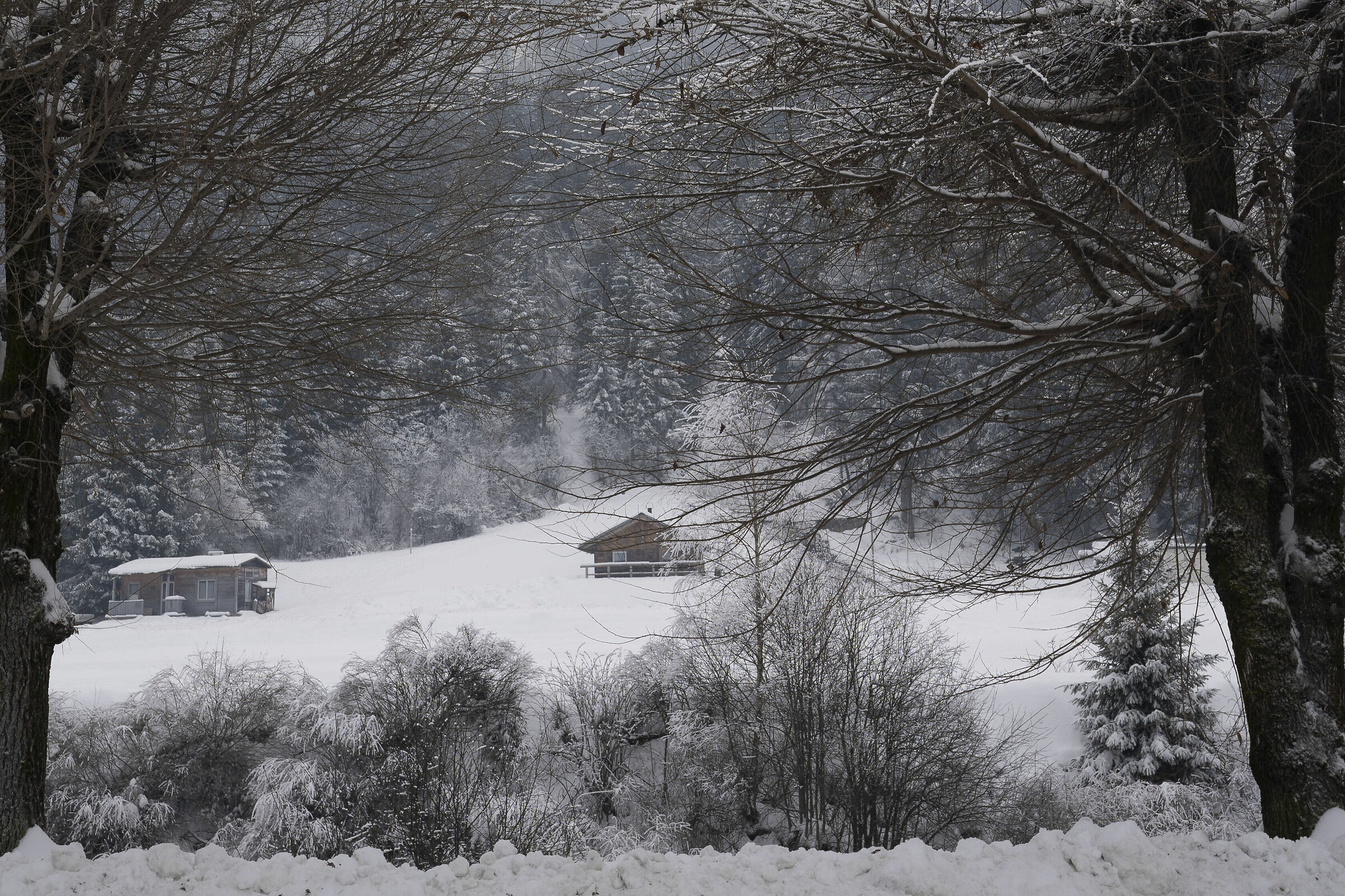 Santo Stefano di Cadore 1