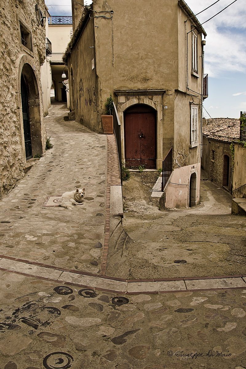 ... Alleys Calitrani ..